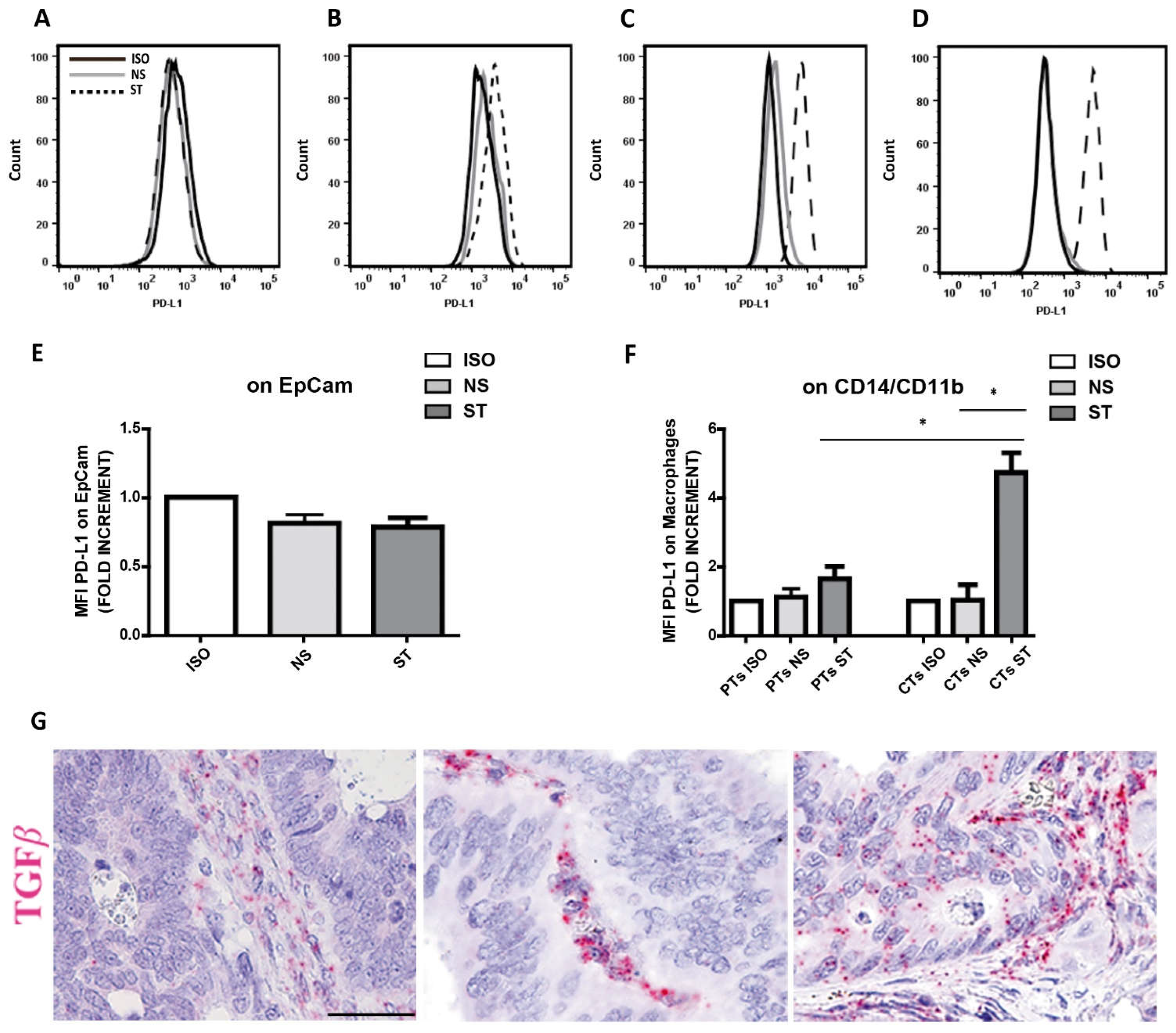 Preprints 72918 g006