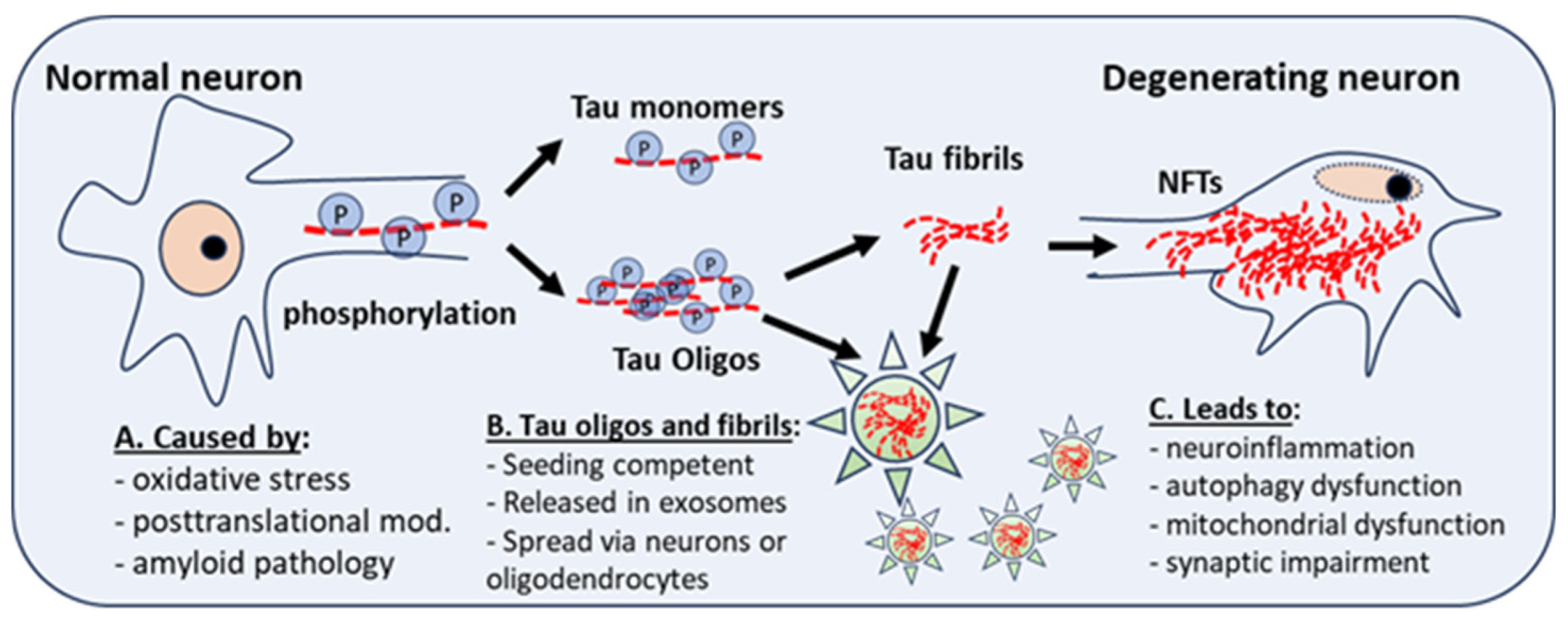 Preprints 97257 g001