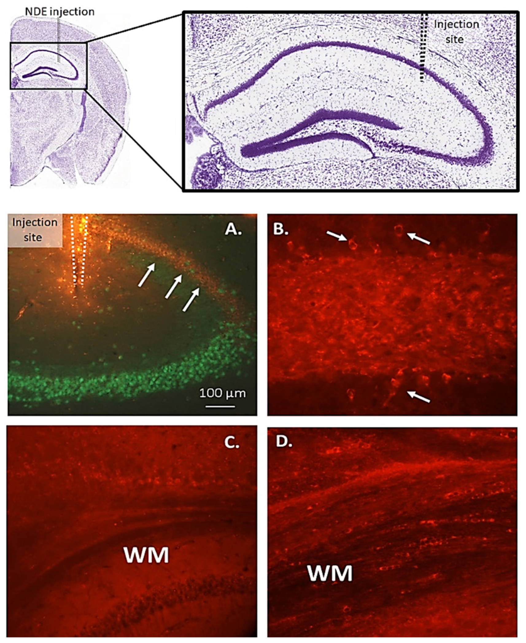 Preprints 97257 g003