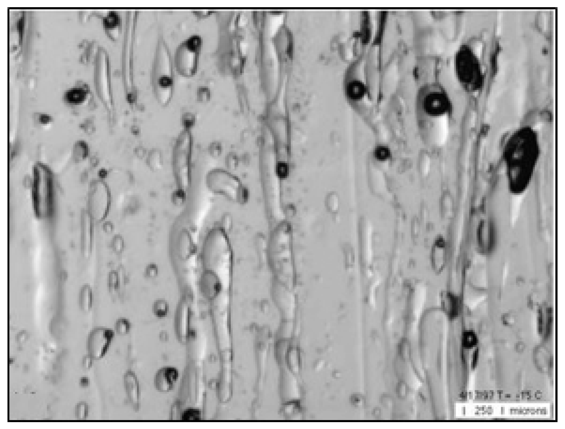 Preprints 110391 g001