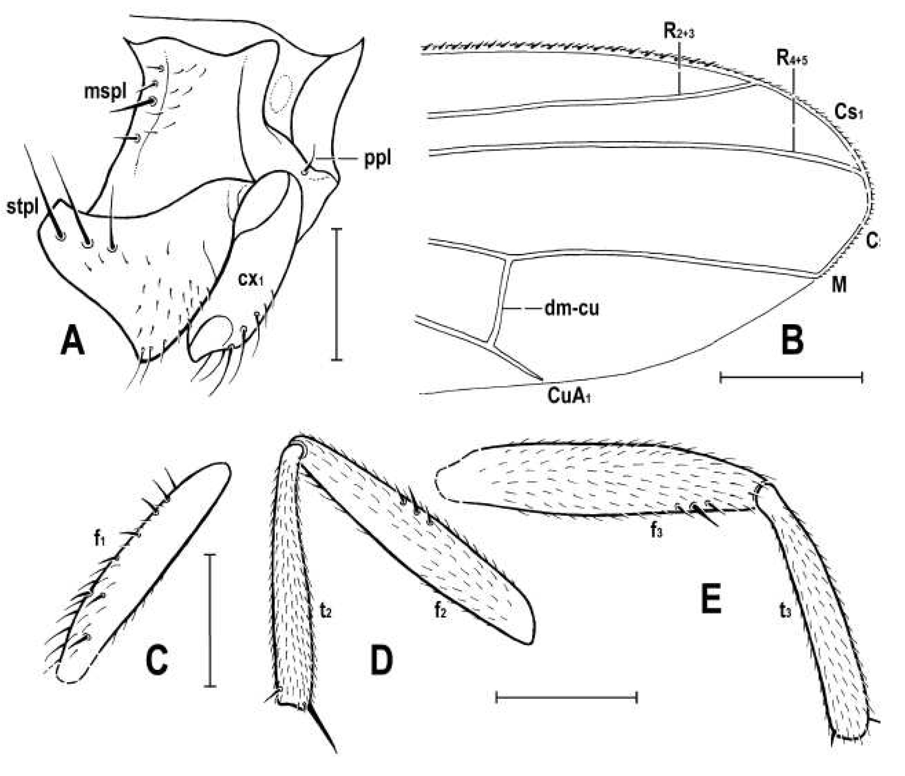 Preprints 86493 g006