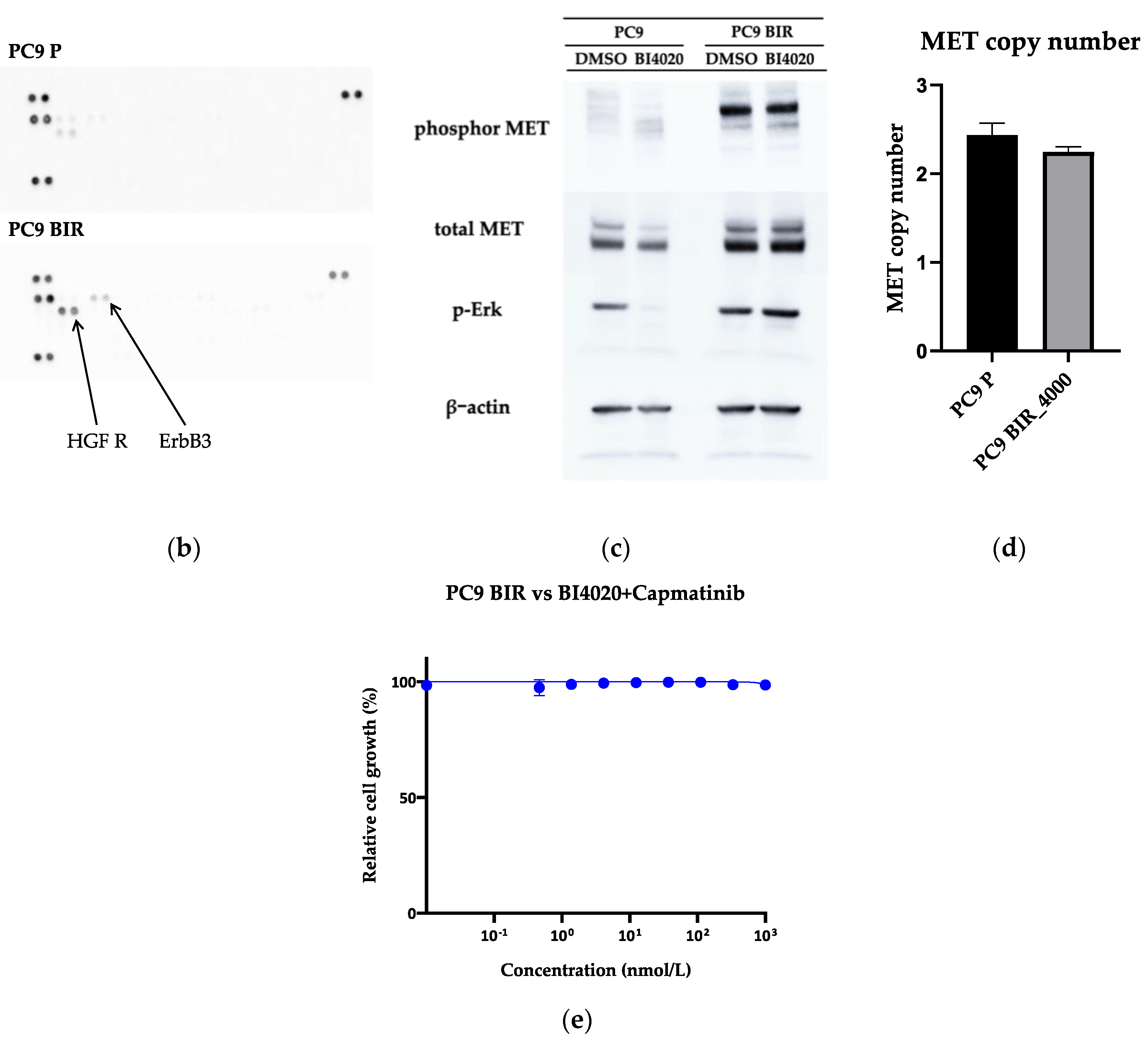 Preprints 108109 g005b