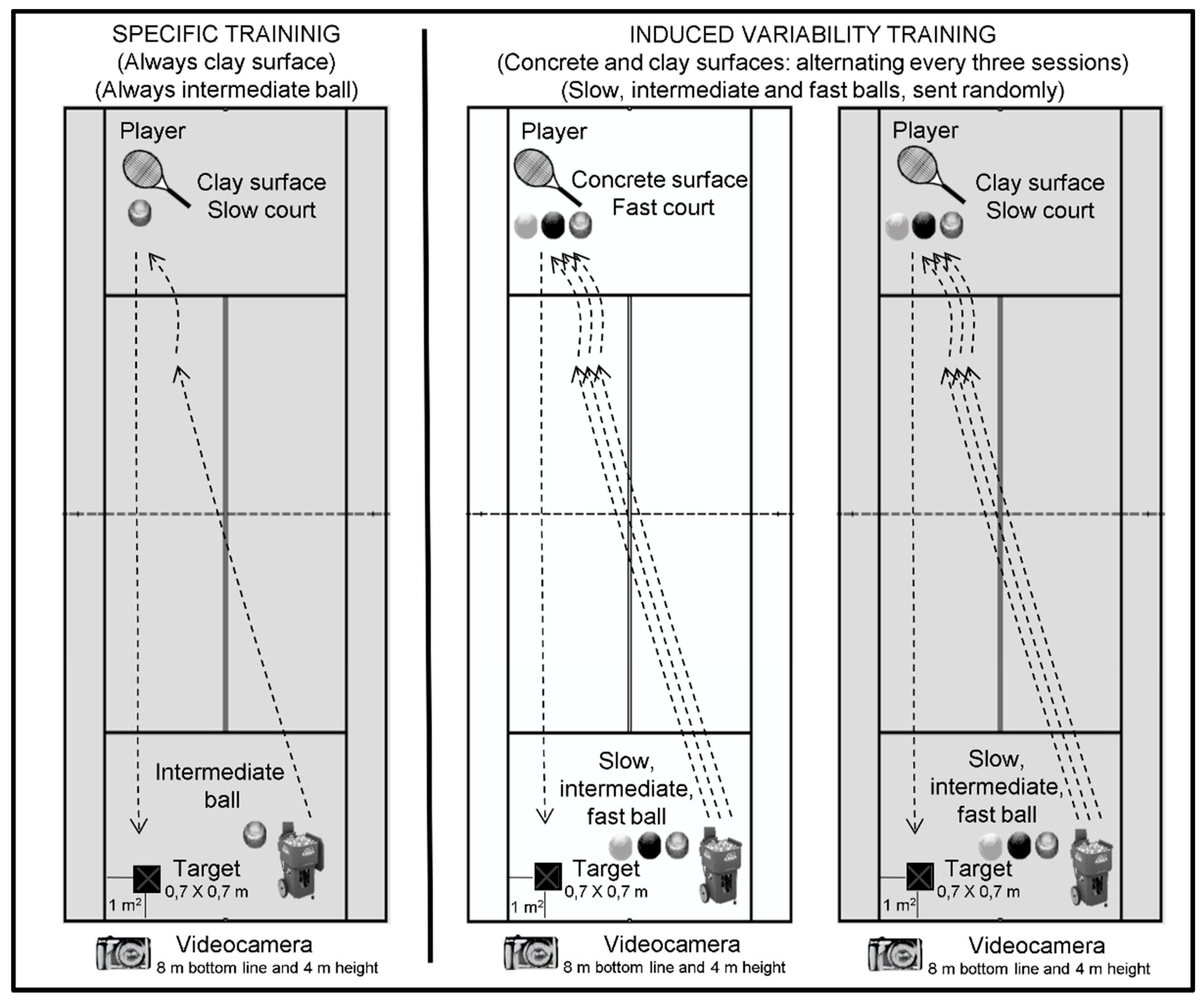 Preprints 104944 g001