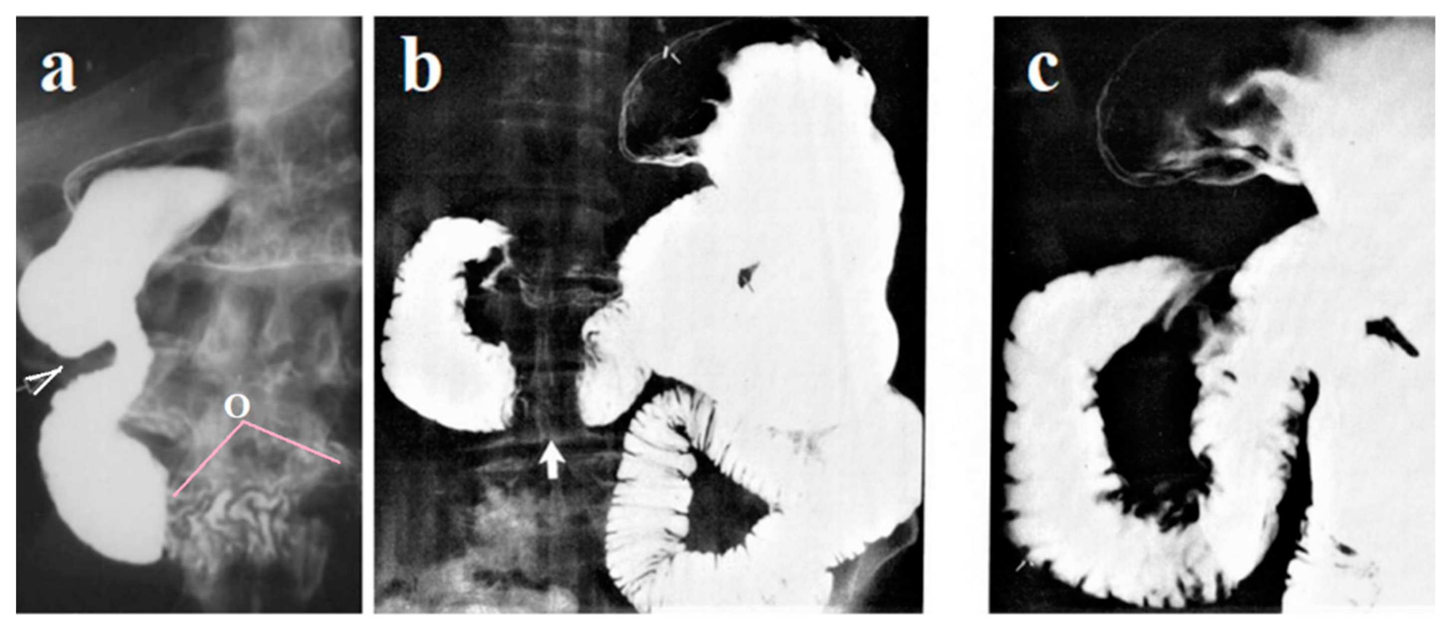 Preprints 95680 g004