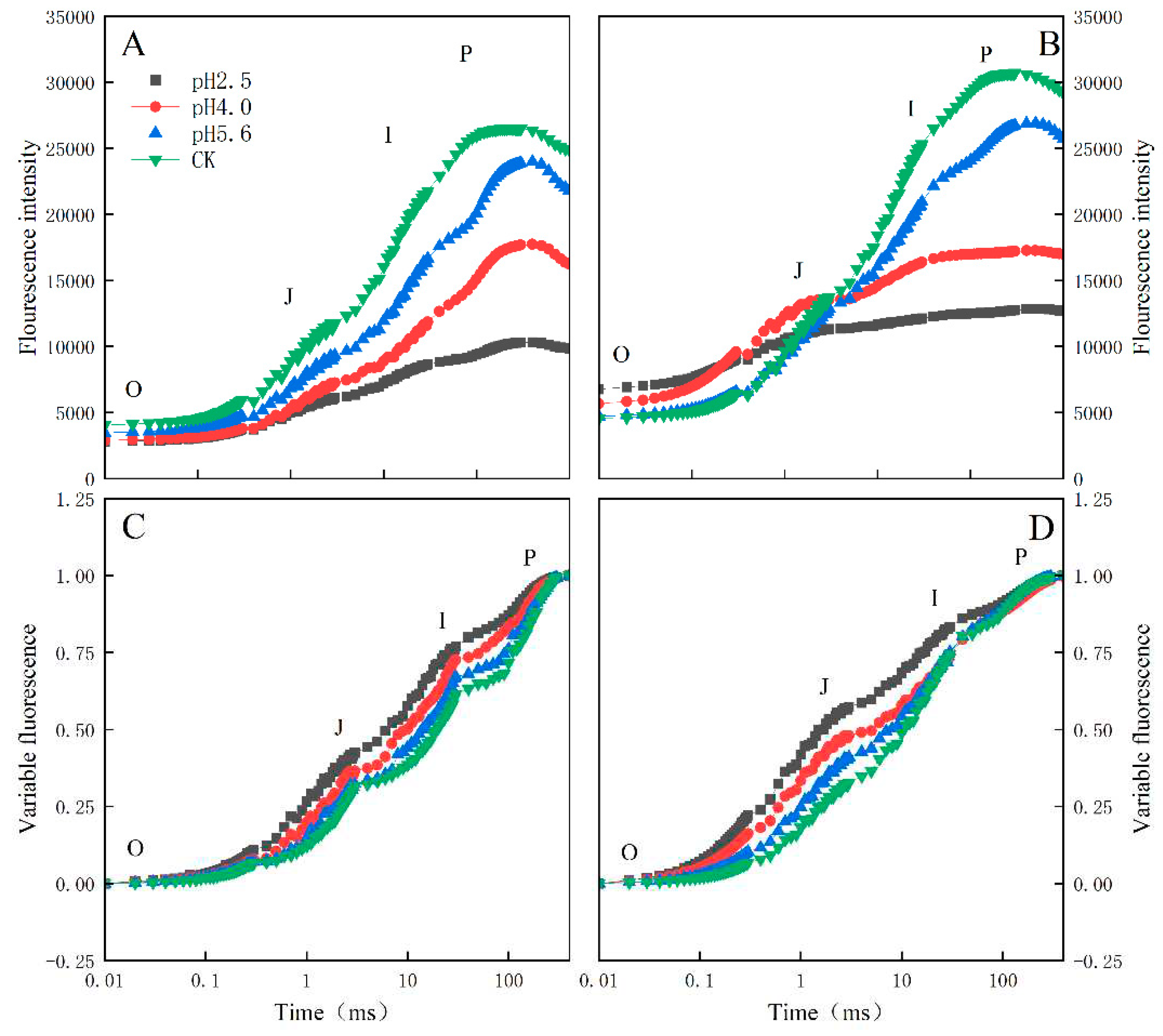 Preprints 95986 g004