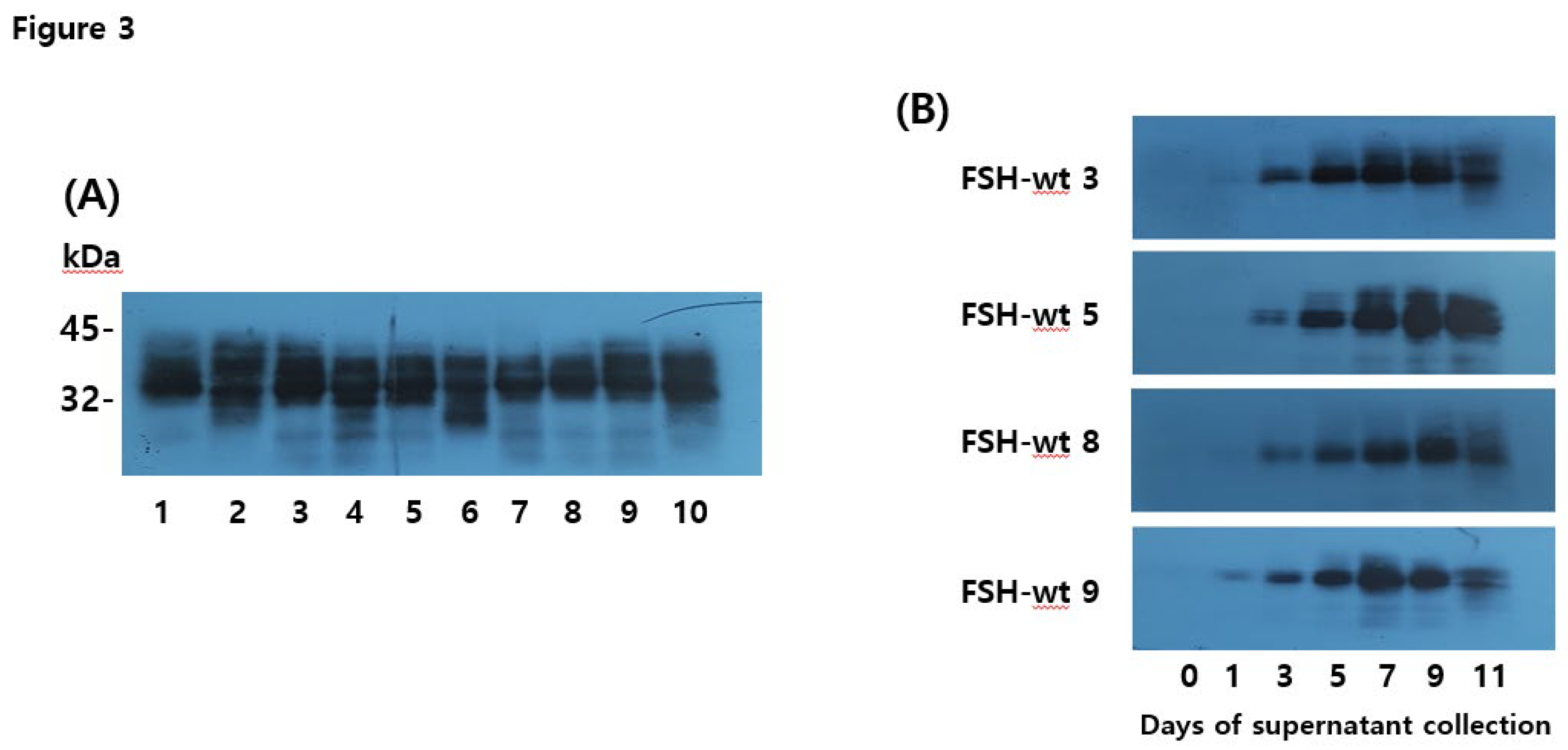 Preprints 106159 g003