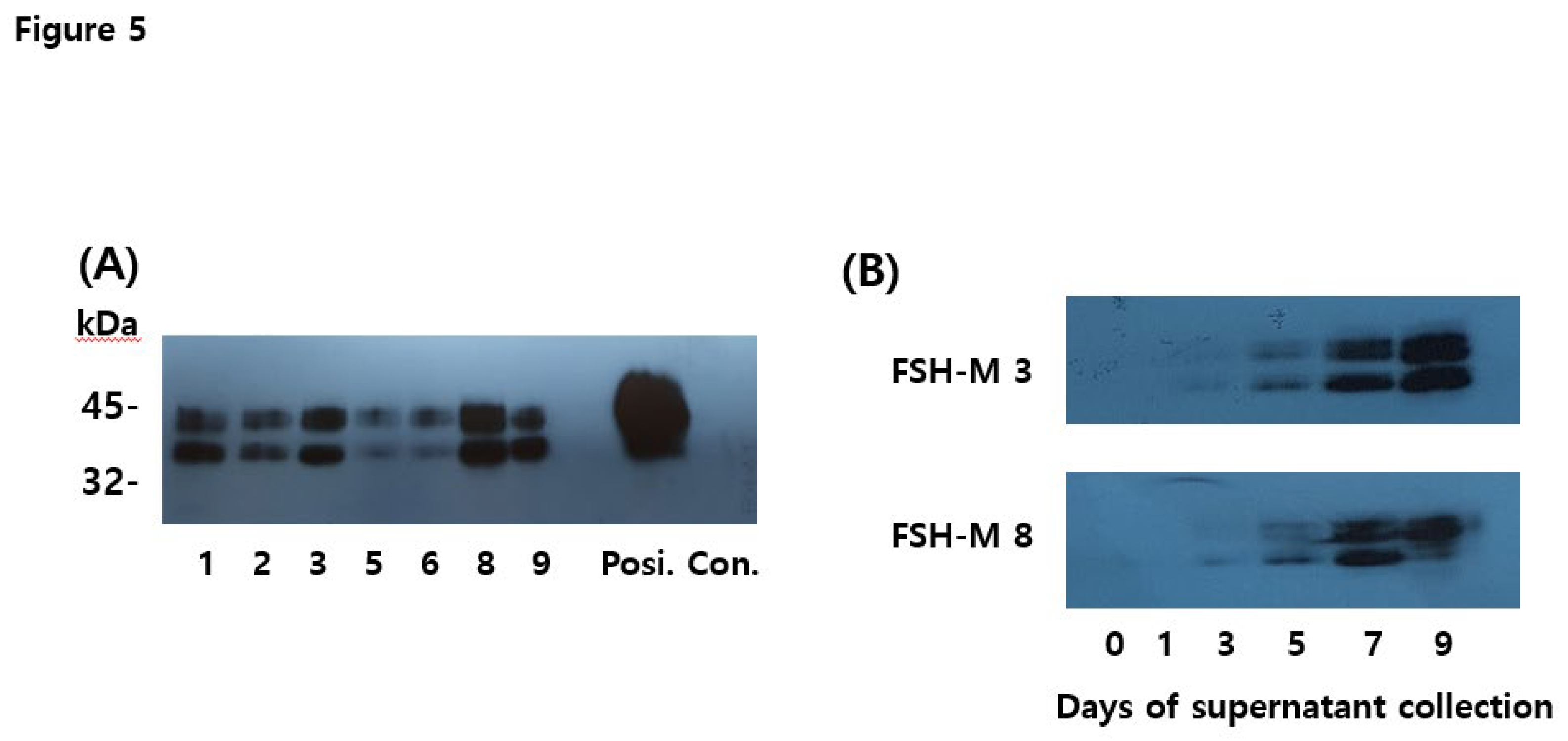 Preprints 106159 g005