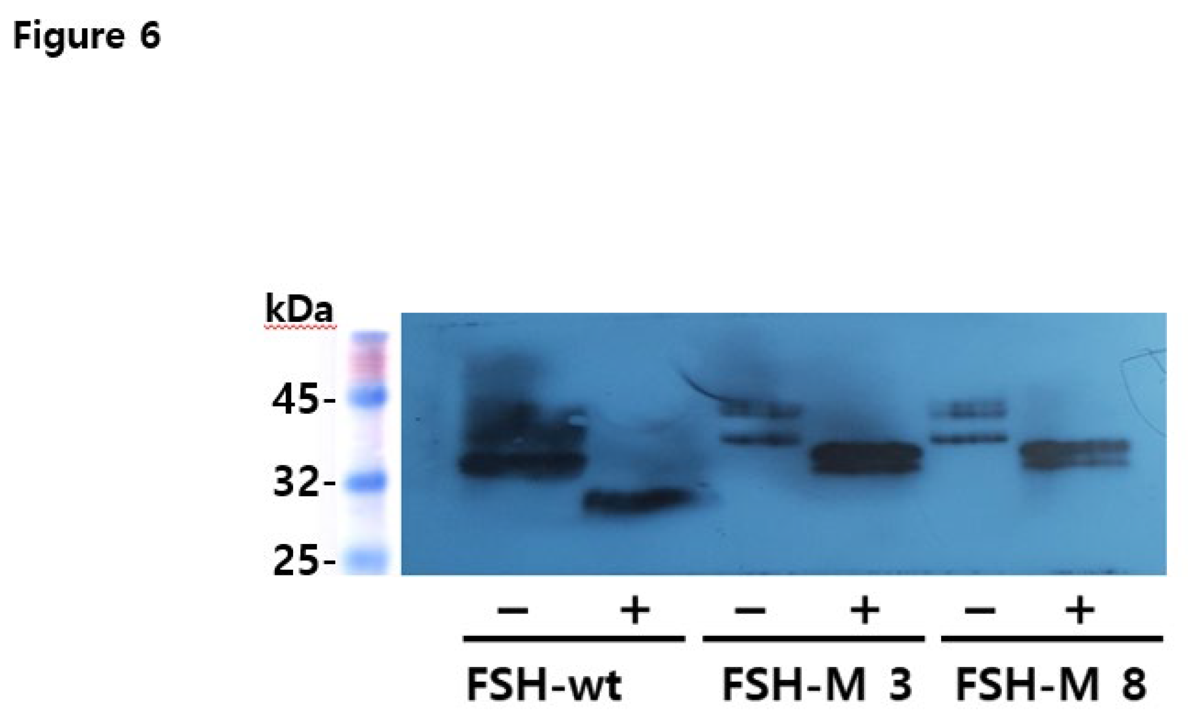 Preprints 106159 g006