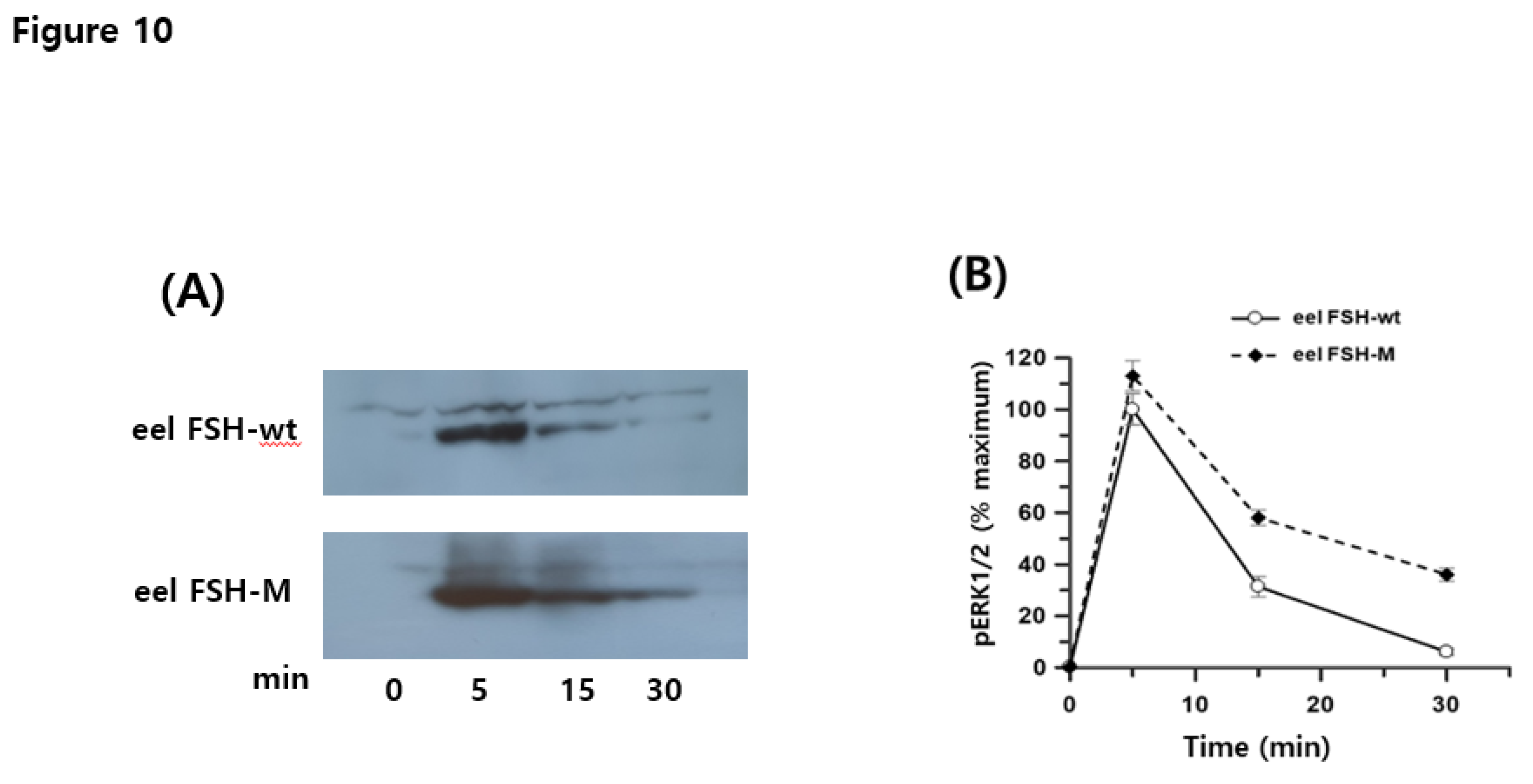 Preprints 106159 g010