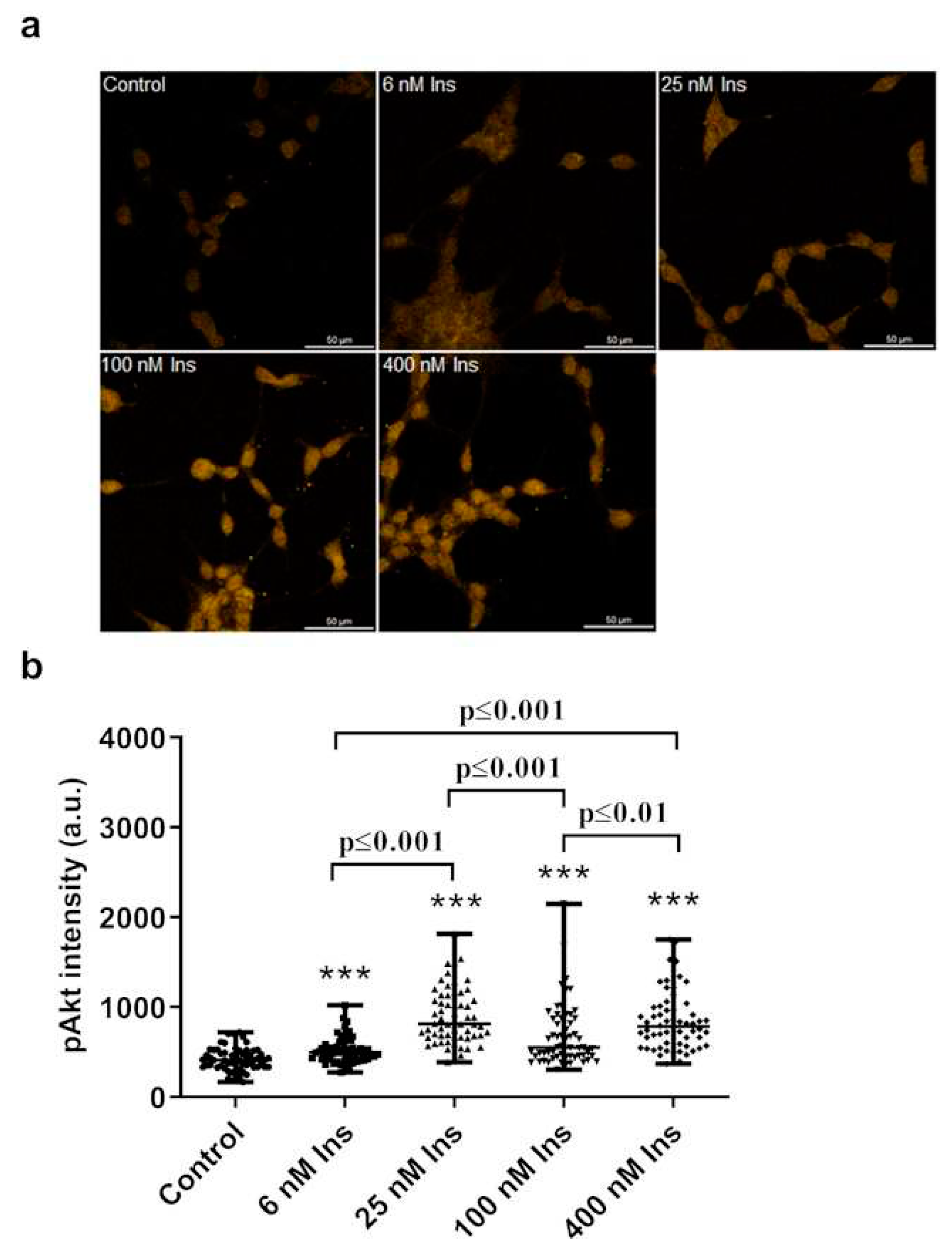 Preprints 93341 g003