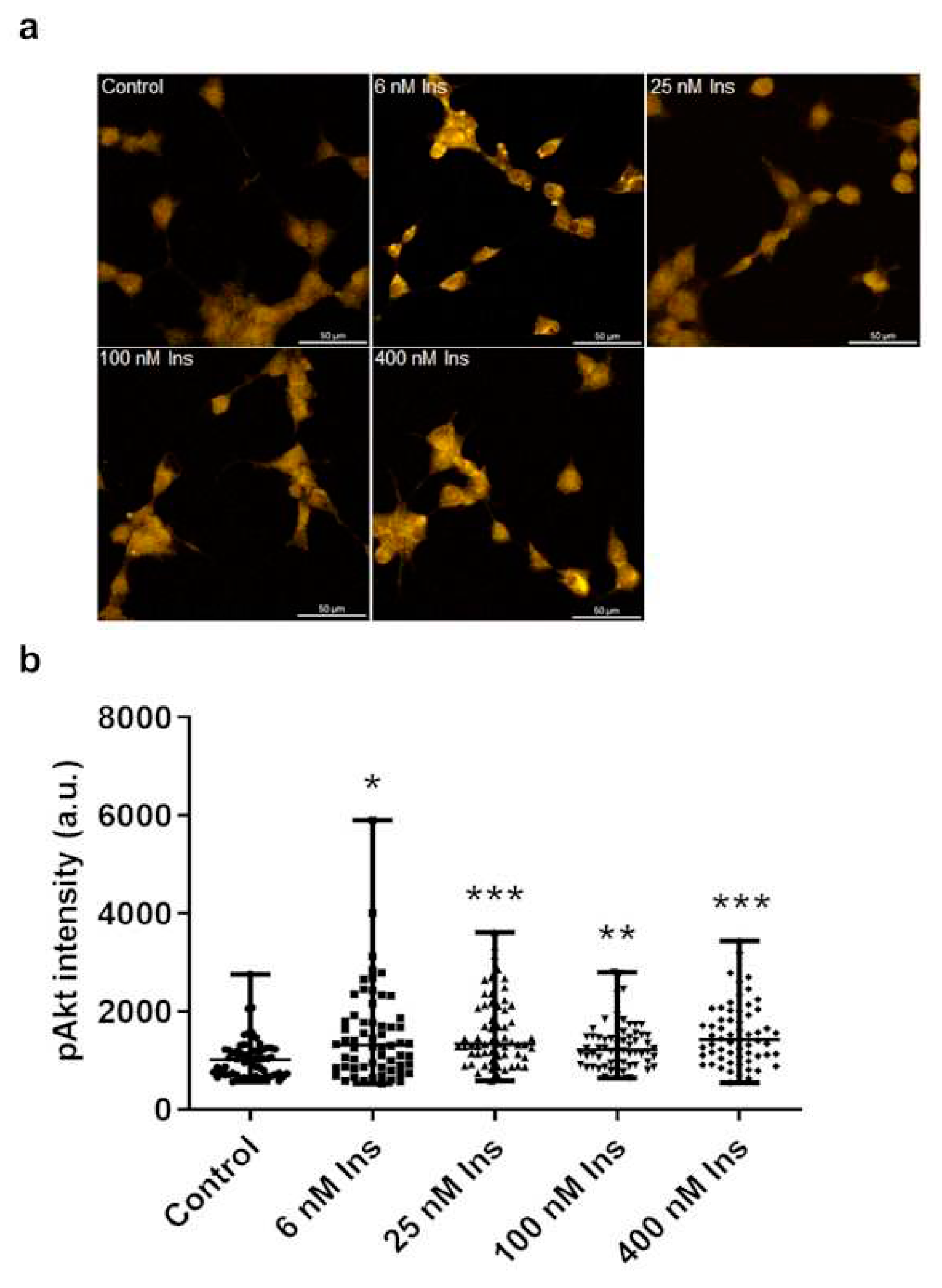 Preprints 93341 g004