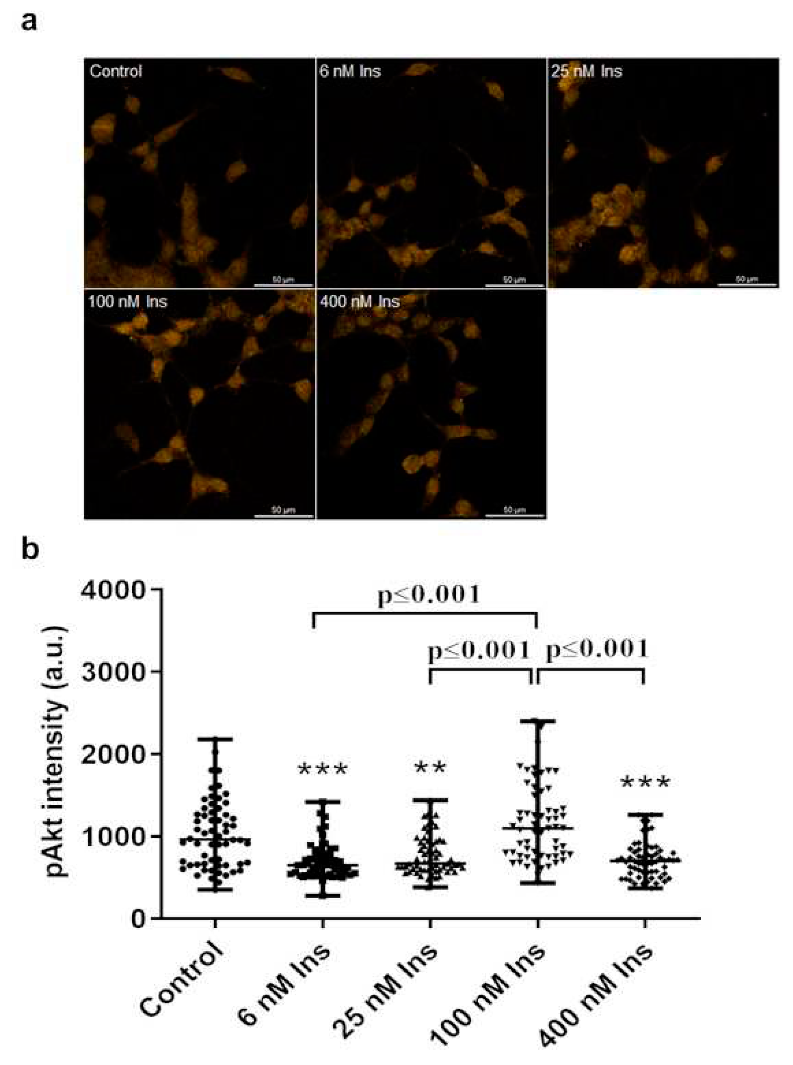 Preprints 93341 g005