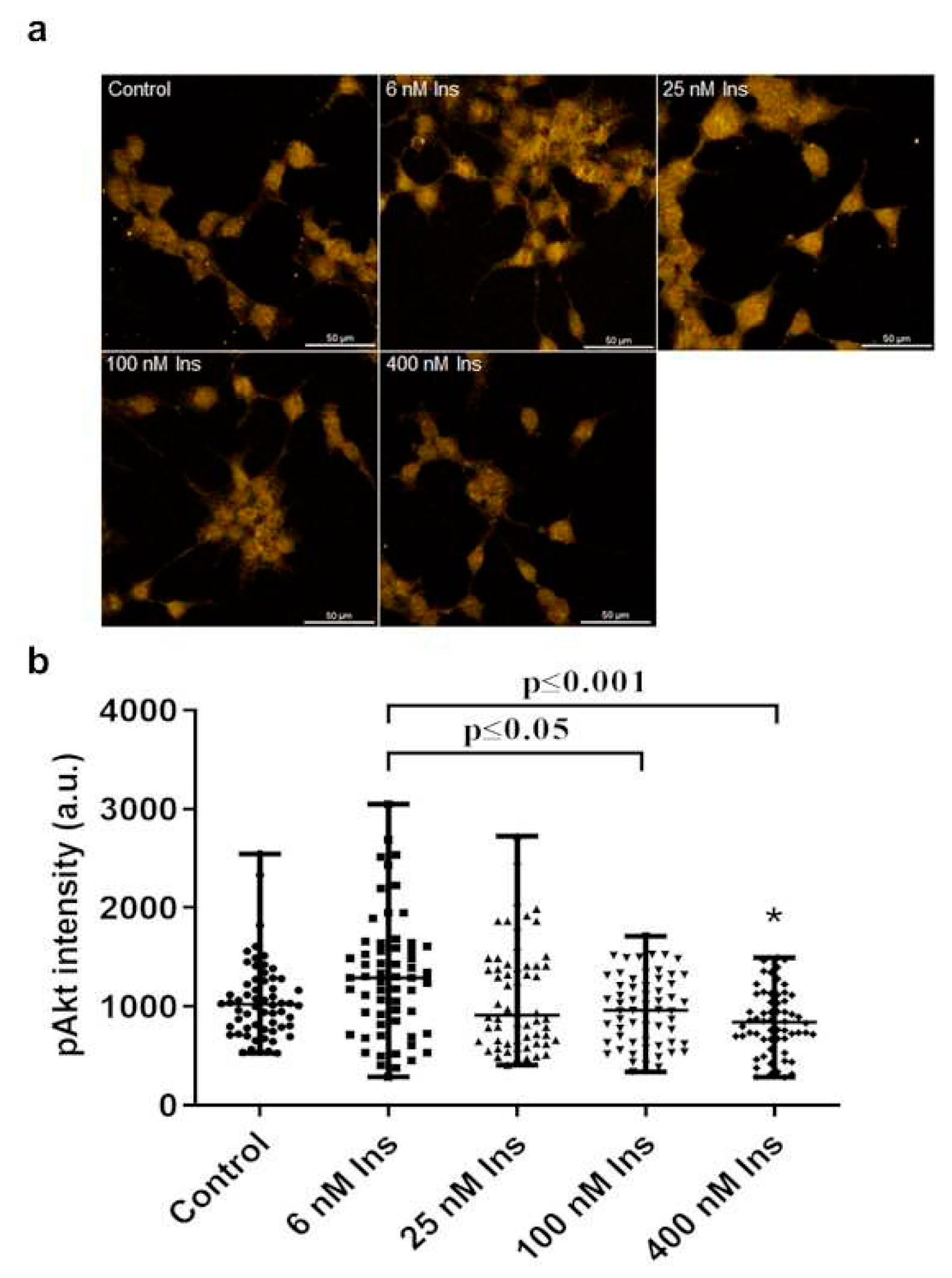 Preprints 93341 g006