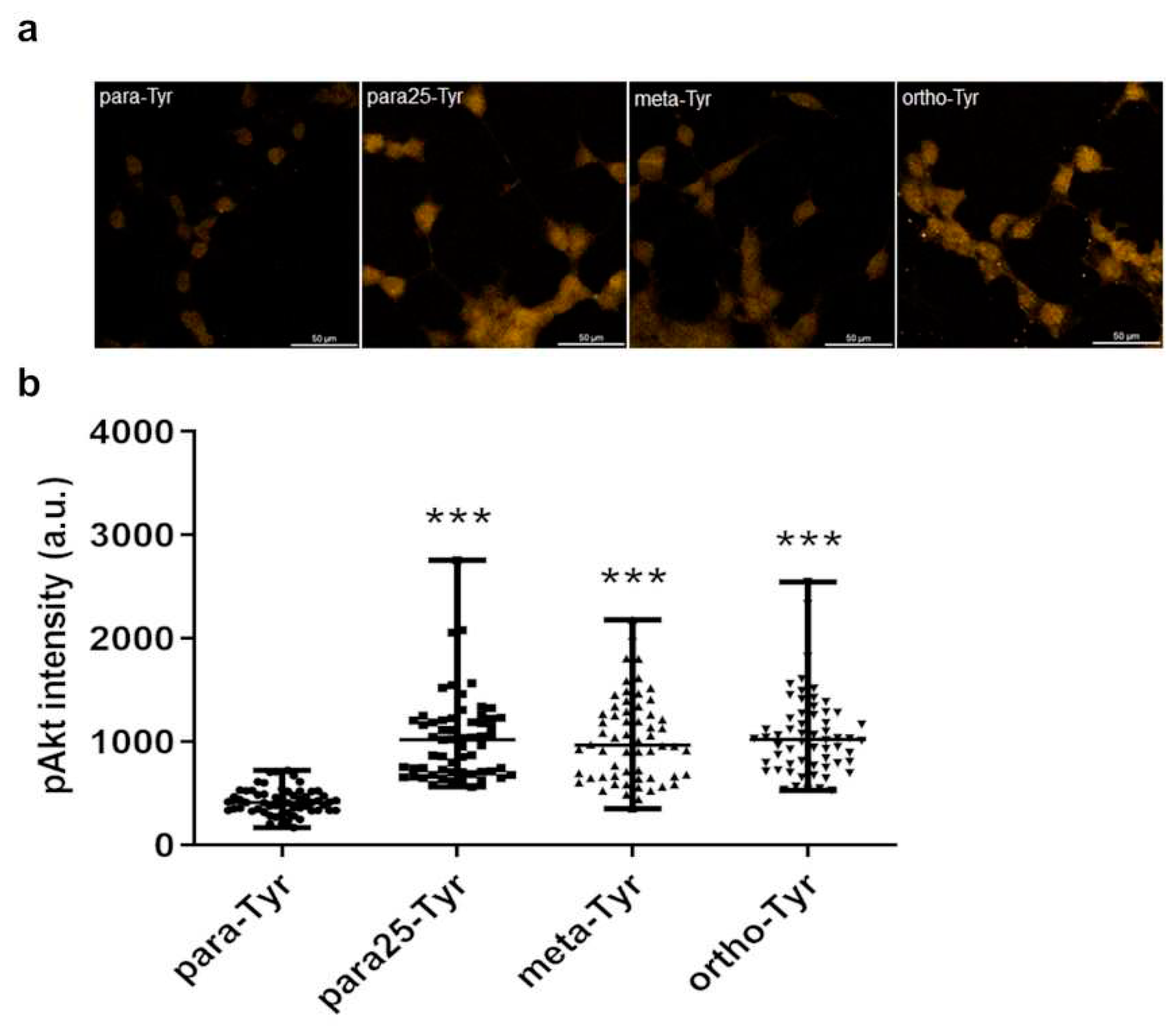 Preprints 93341 g007