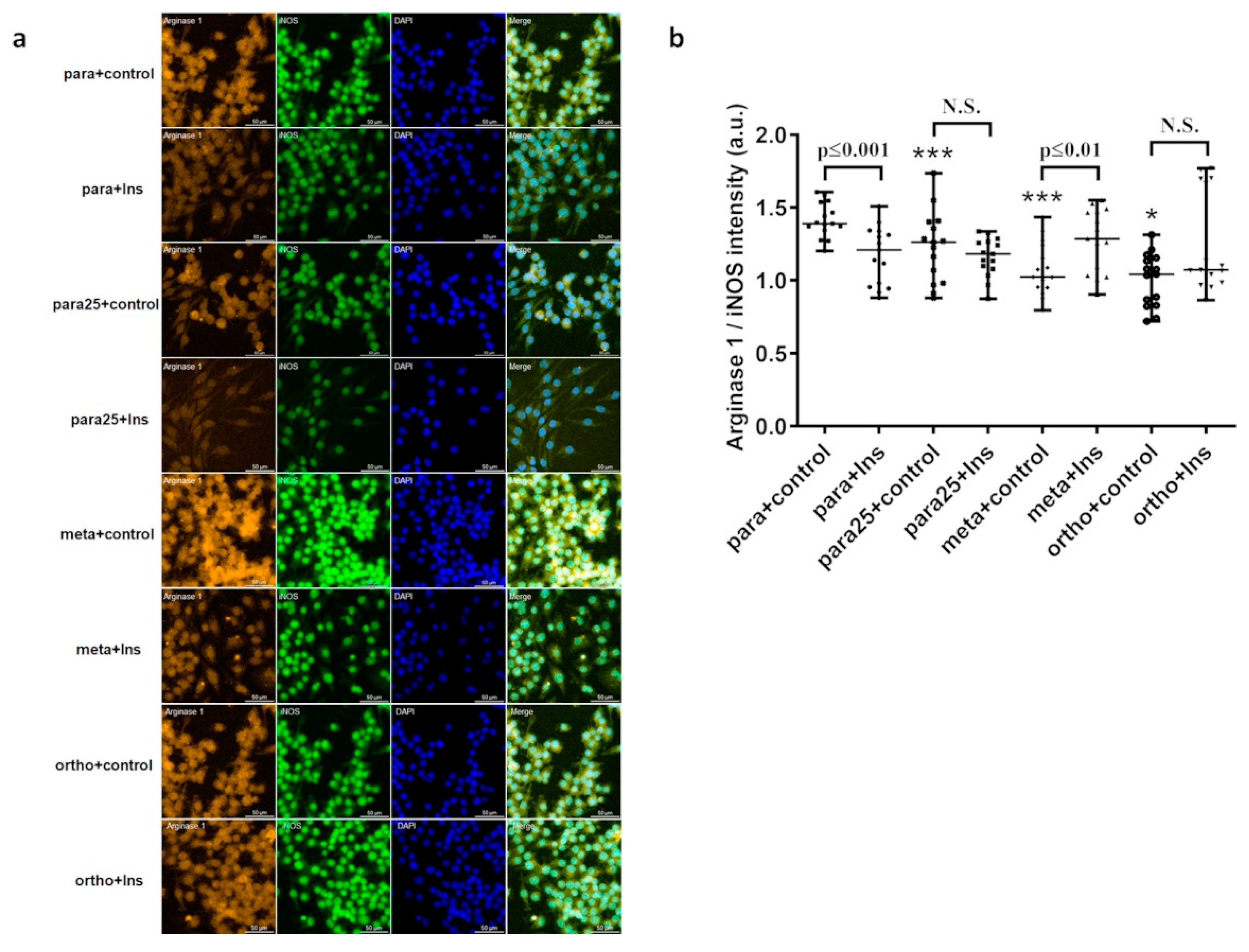 Preprints 93341 g008