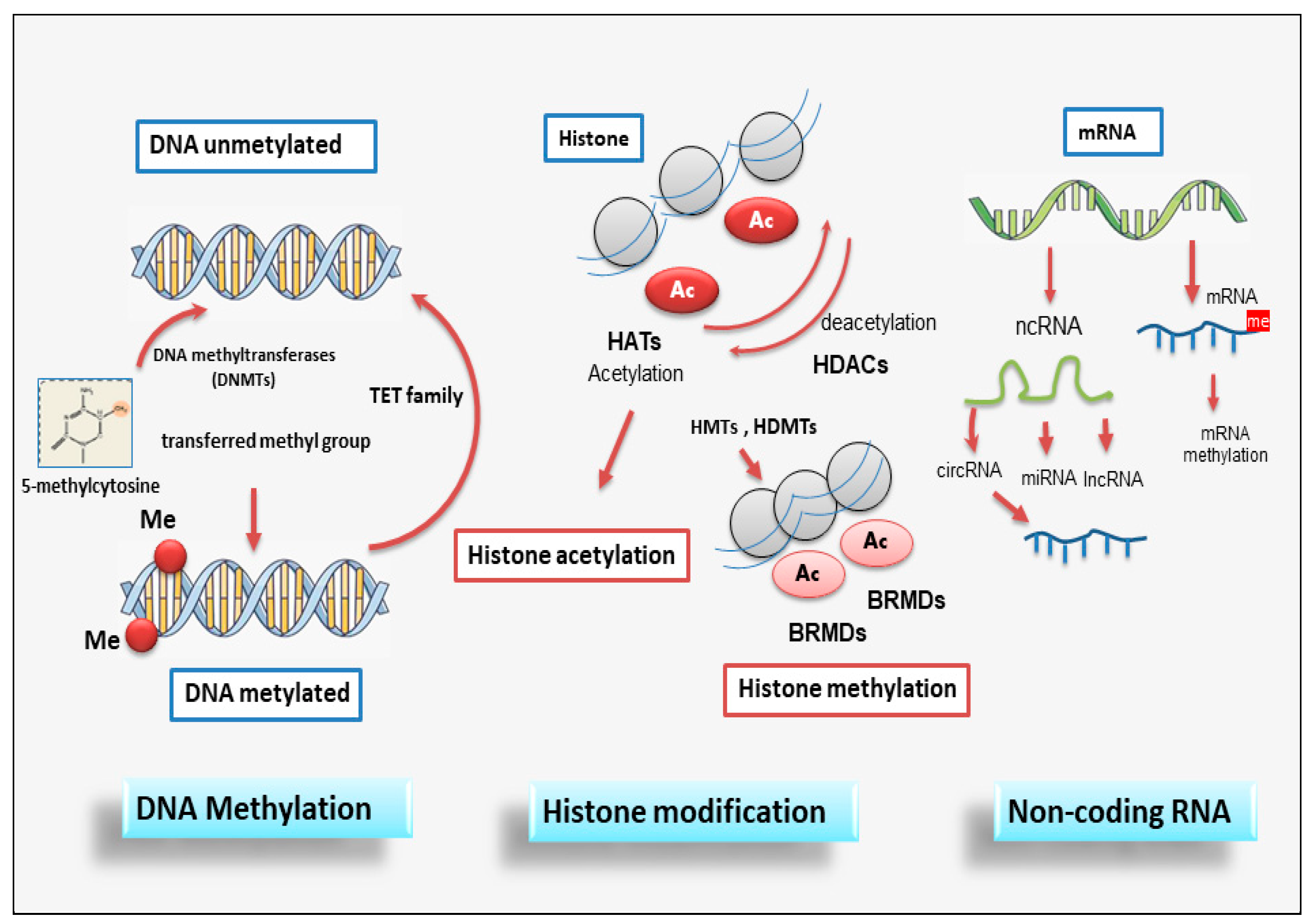 Preprints 95108 g001