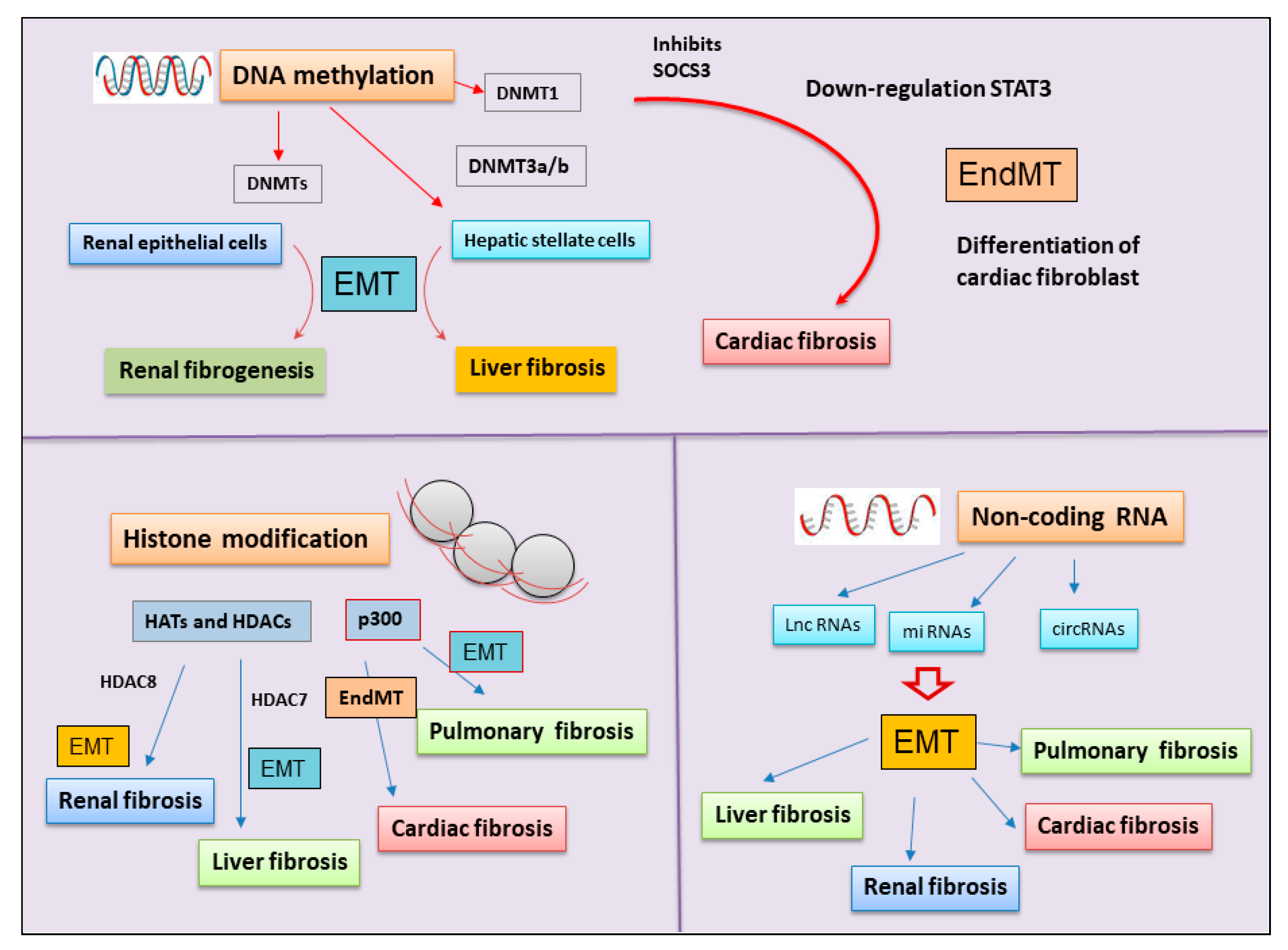 Preprints 95108 g003