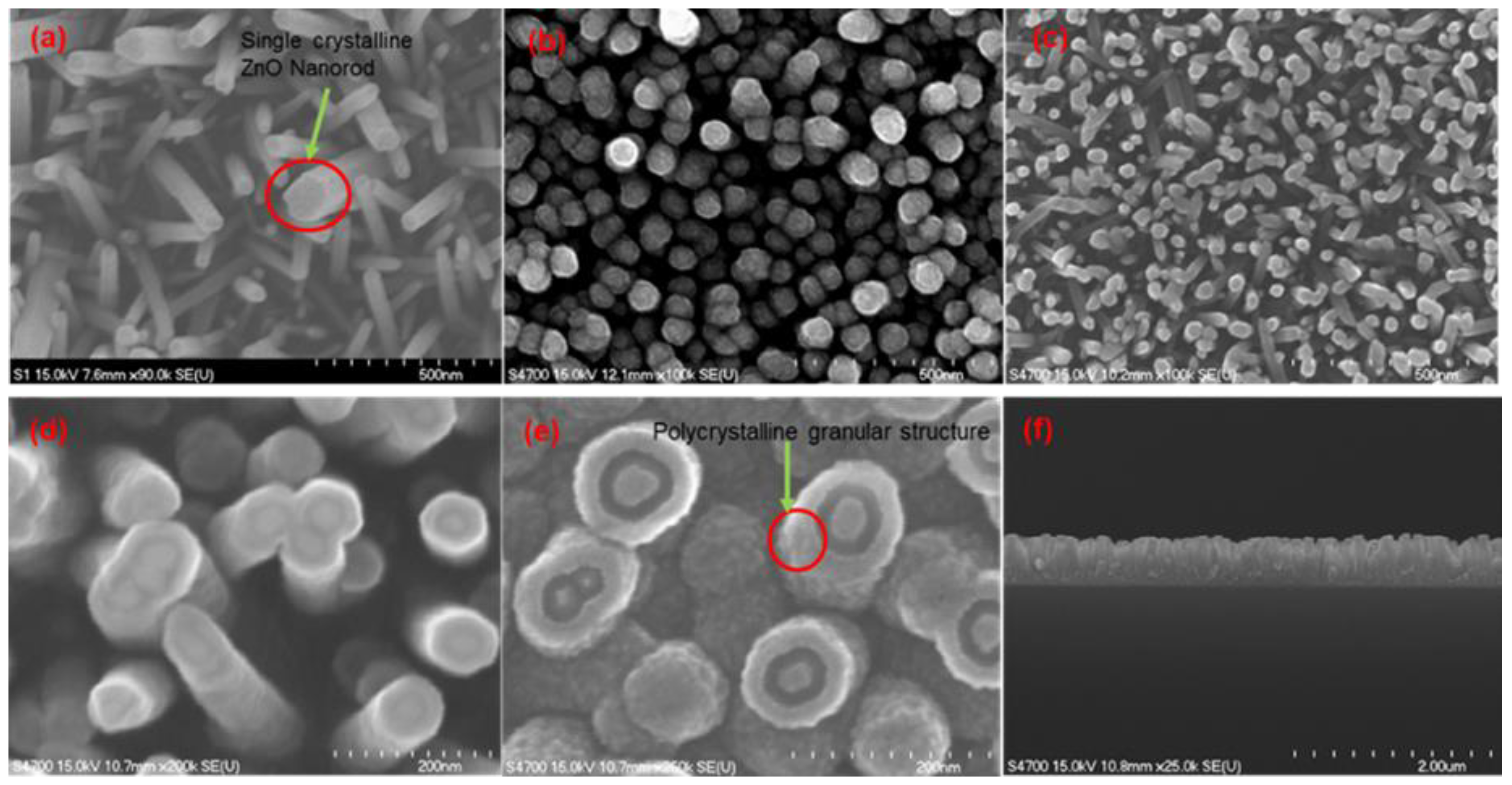 Preprints 119897 g007