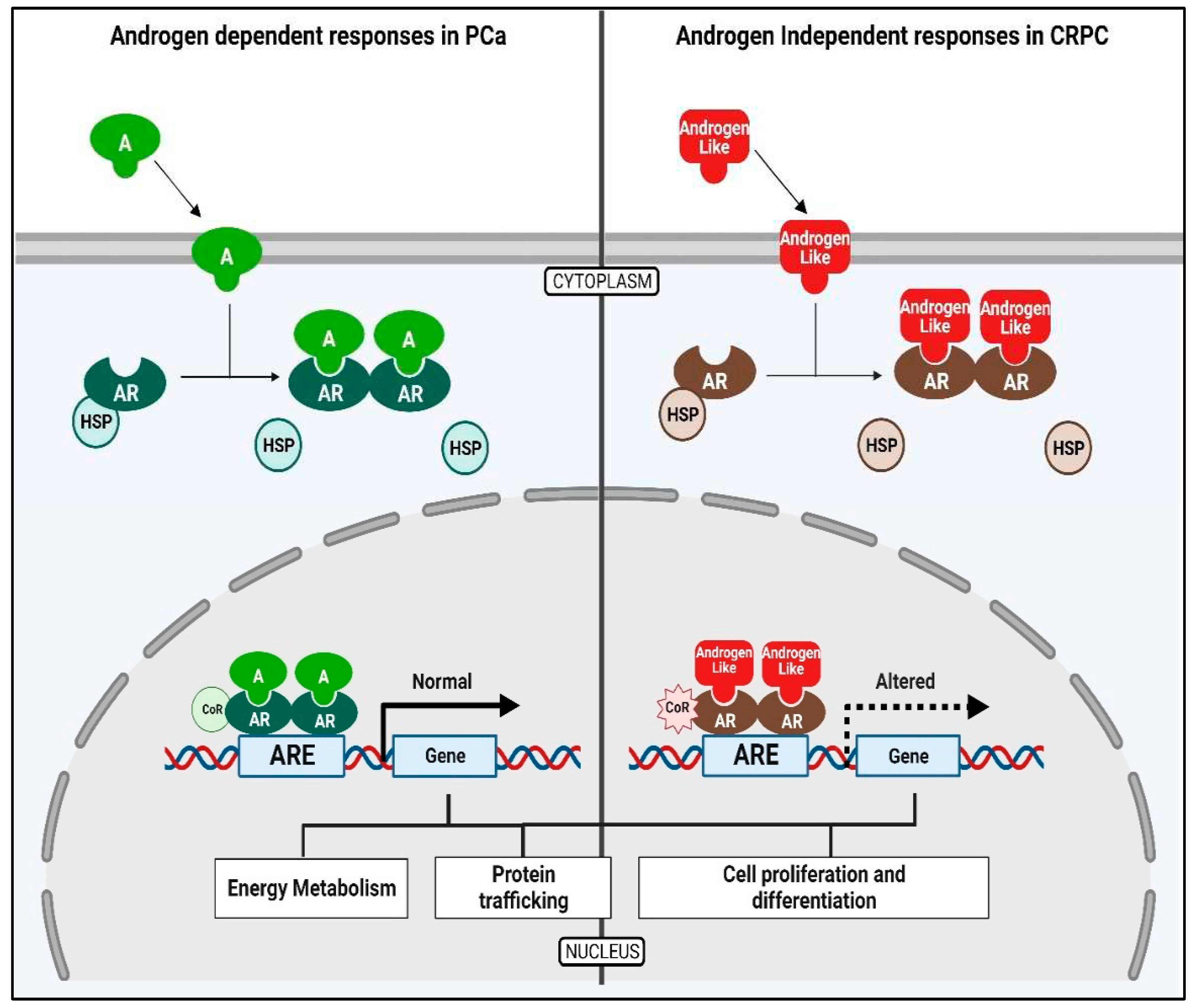 Preprints 89308 g003