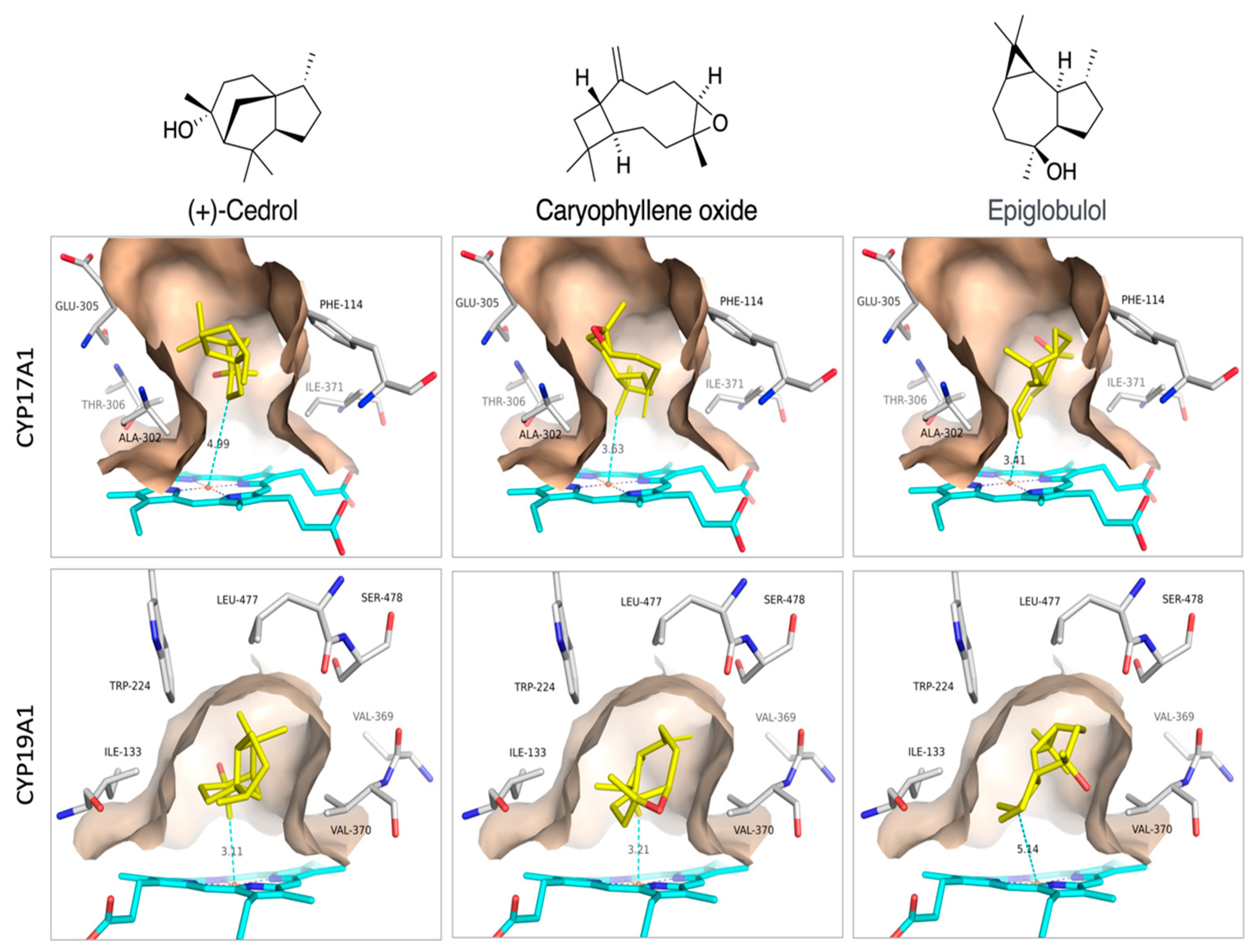 Preprints 89308 g005