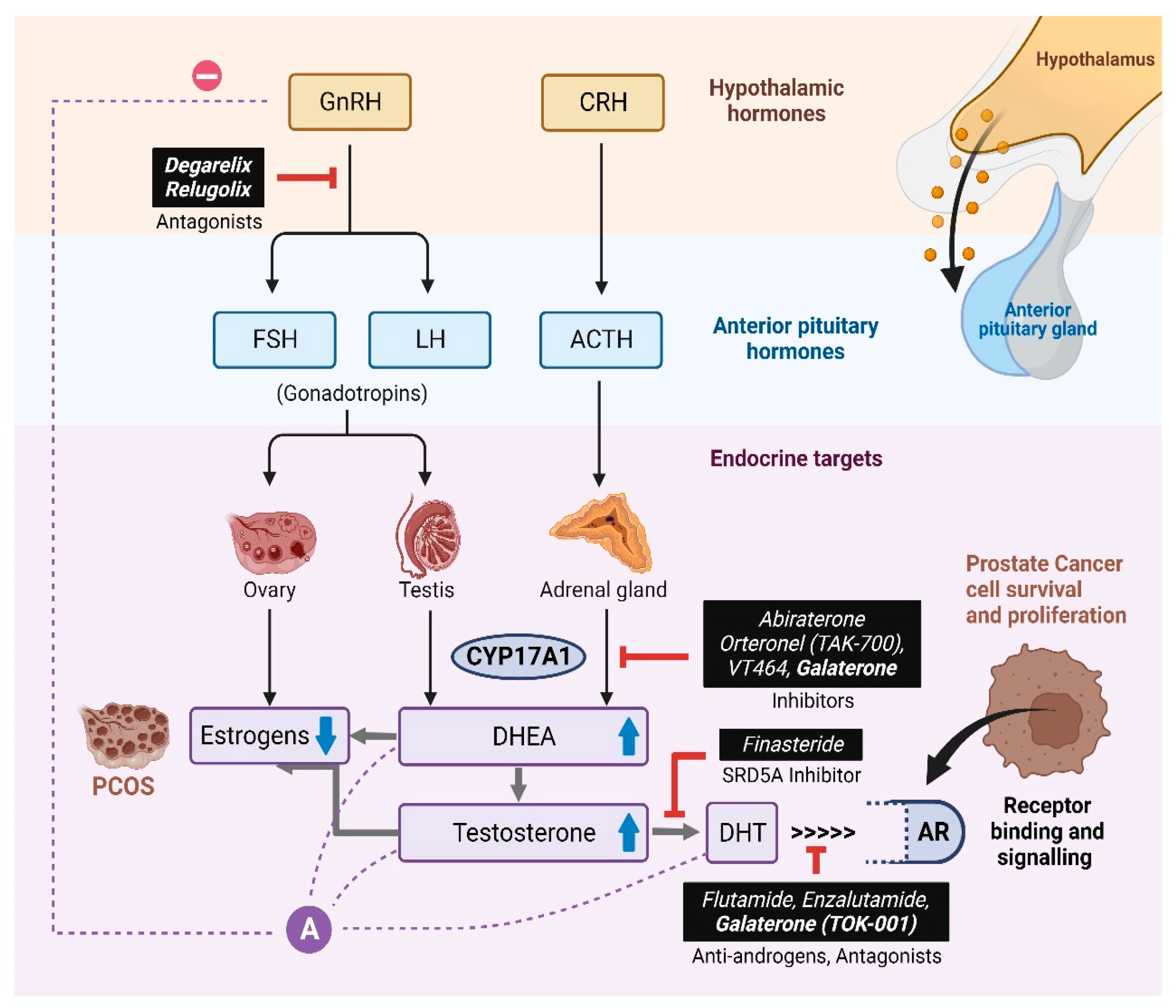 Preprints 89308 g012