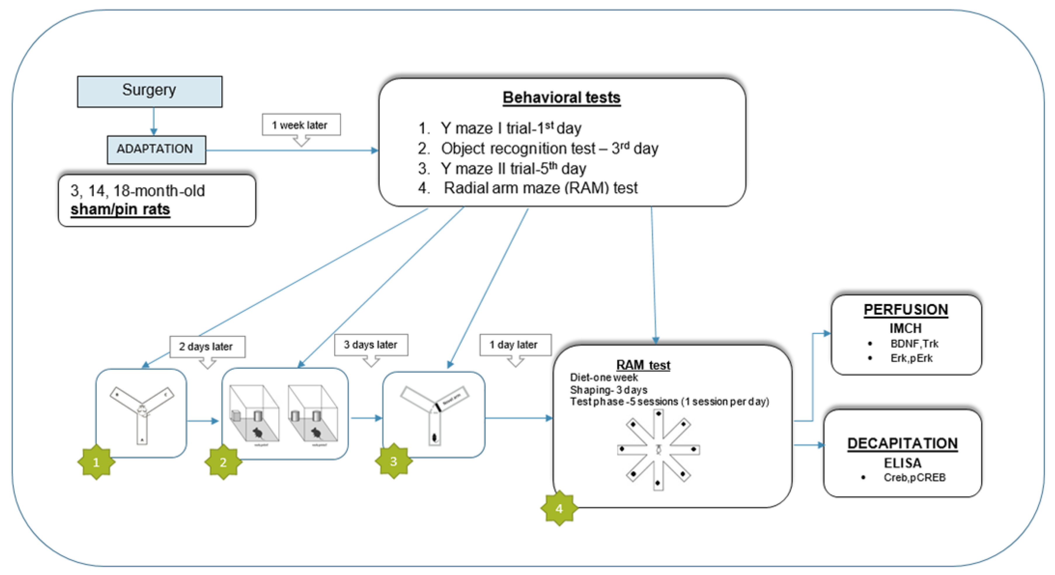 Preprints 112476 g001