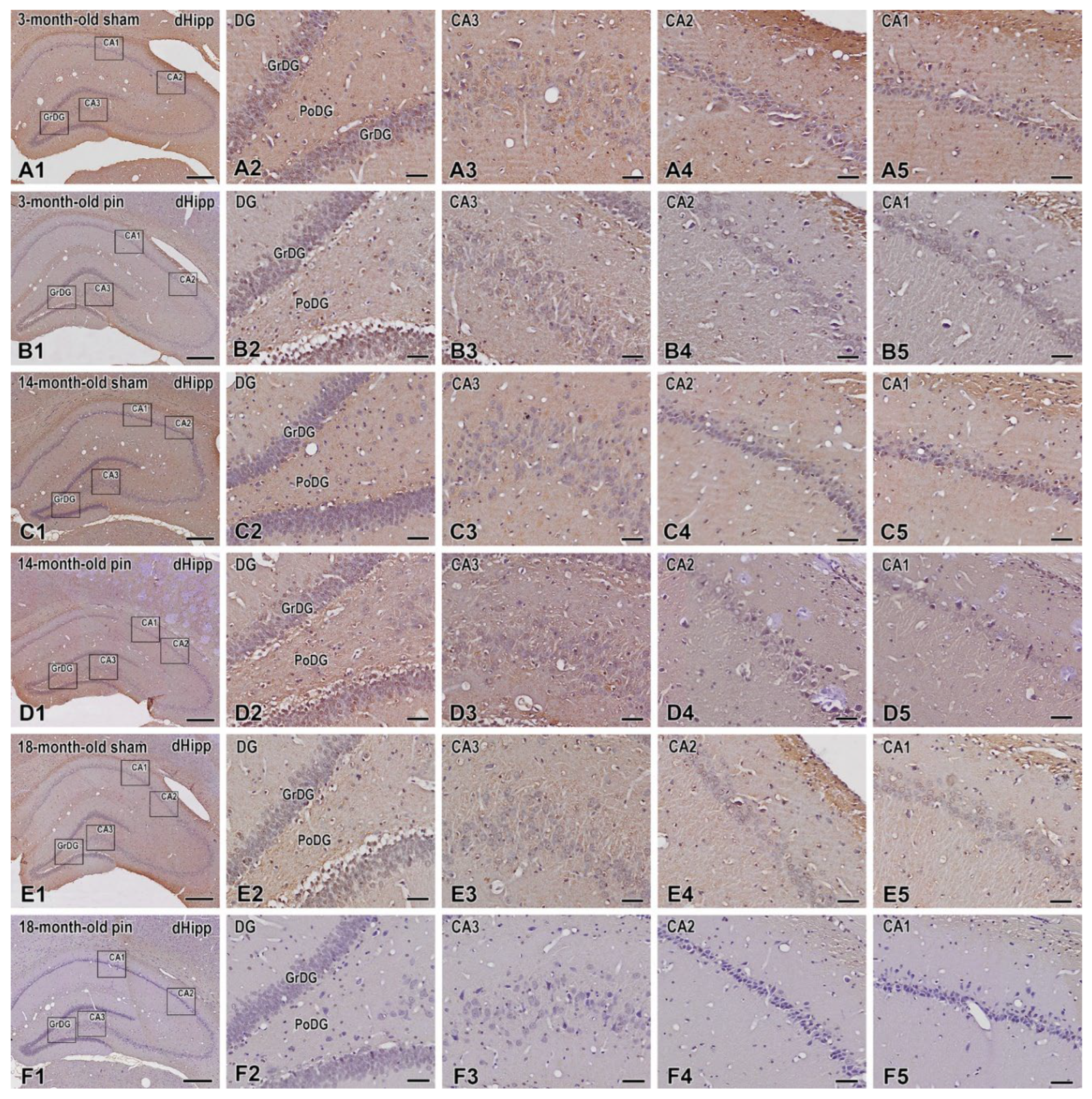 Preprints 112476 g005