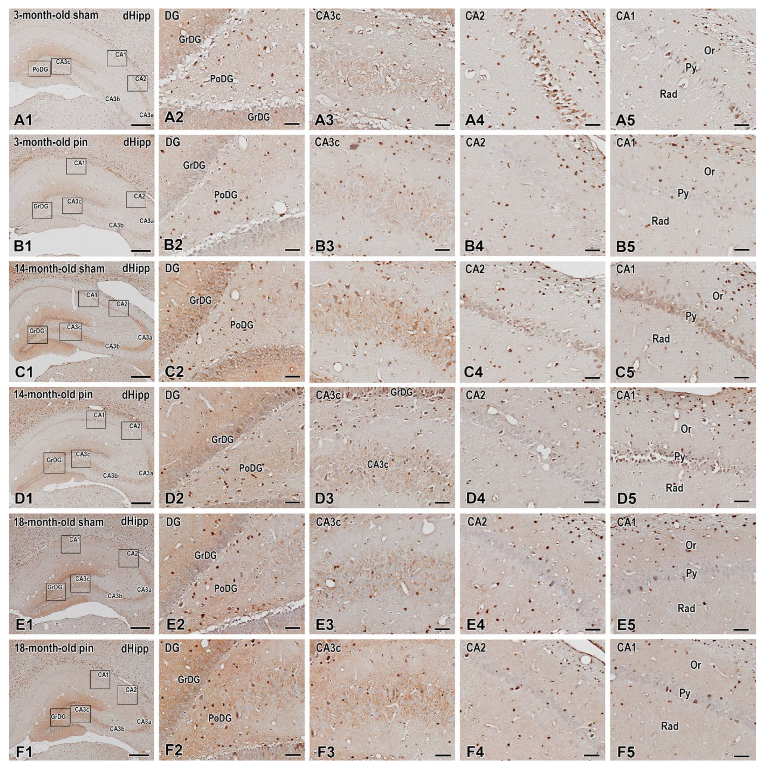 Preprints 112476 g010