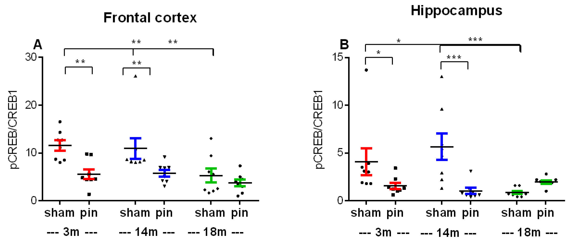 Preprints 112476 g014