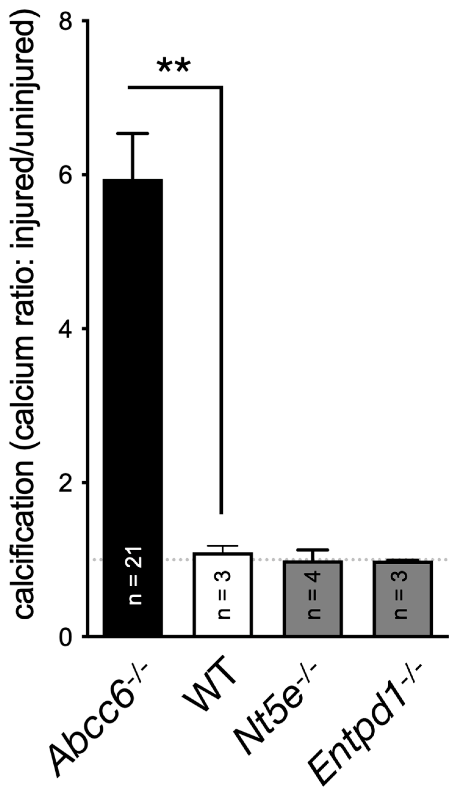 Preprints 93508 g002