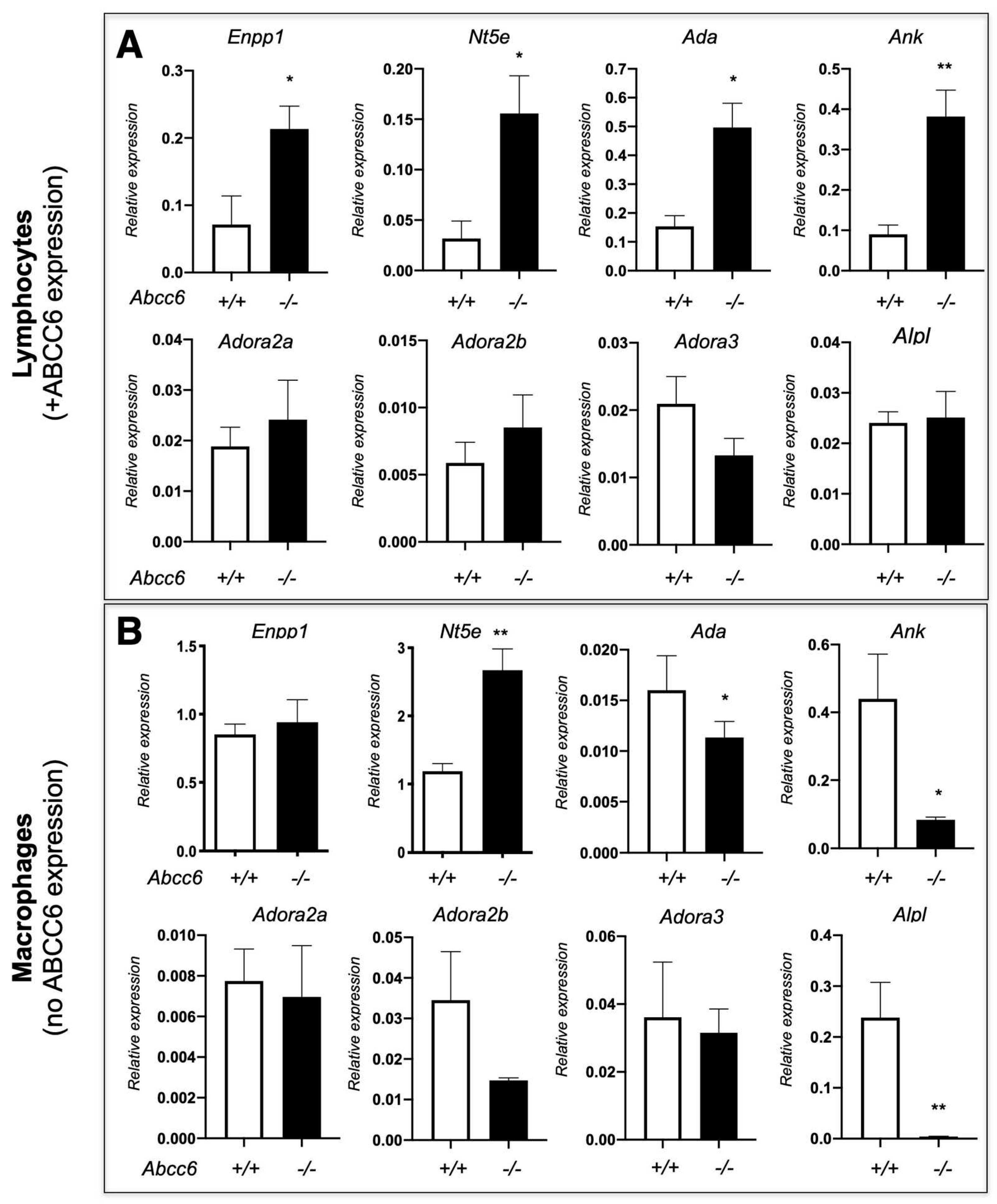 Preprints 93508 g004