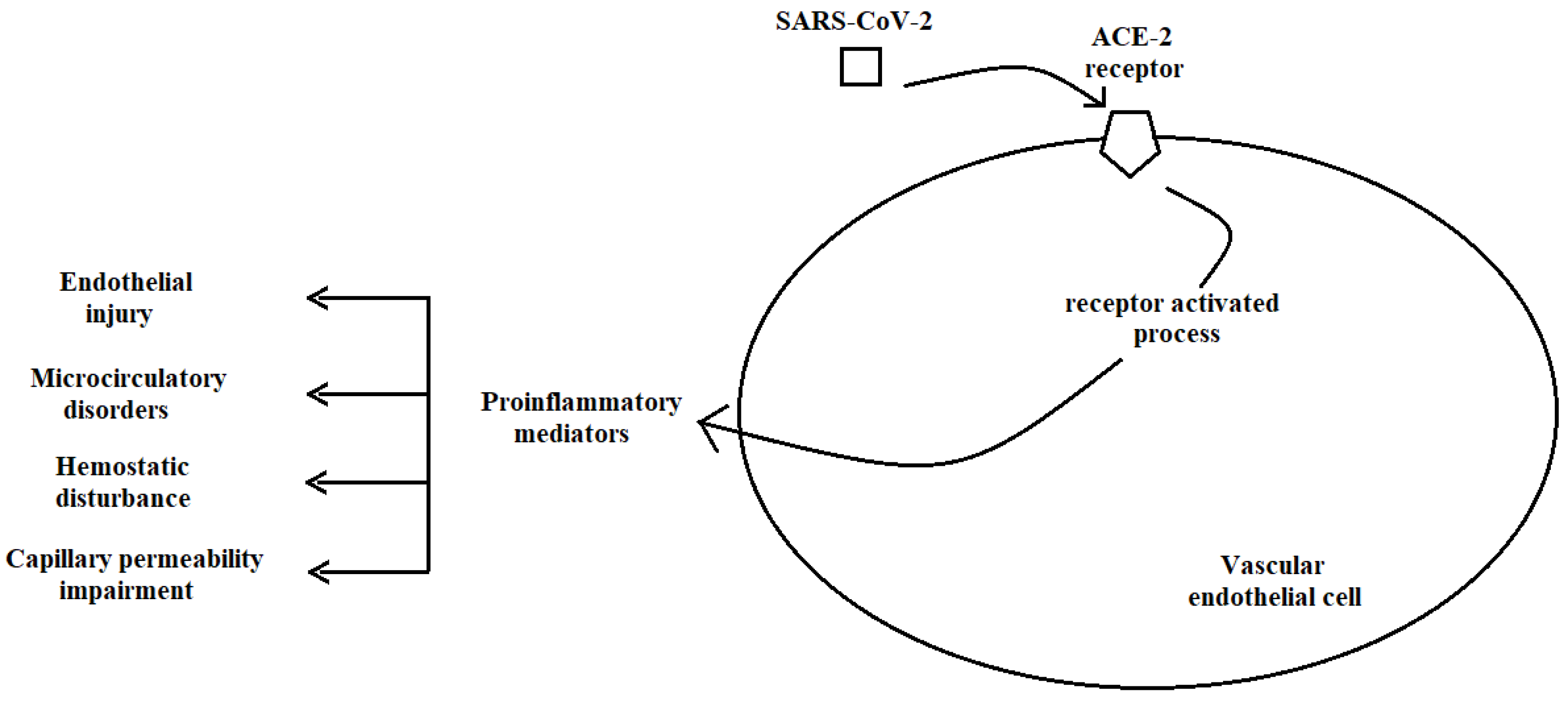 Preprints 120297 g002