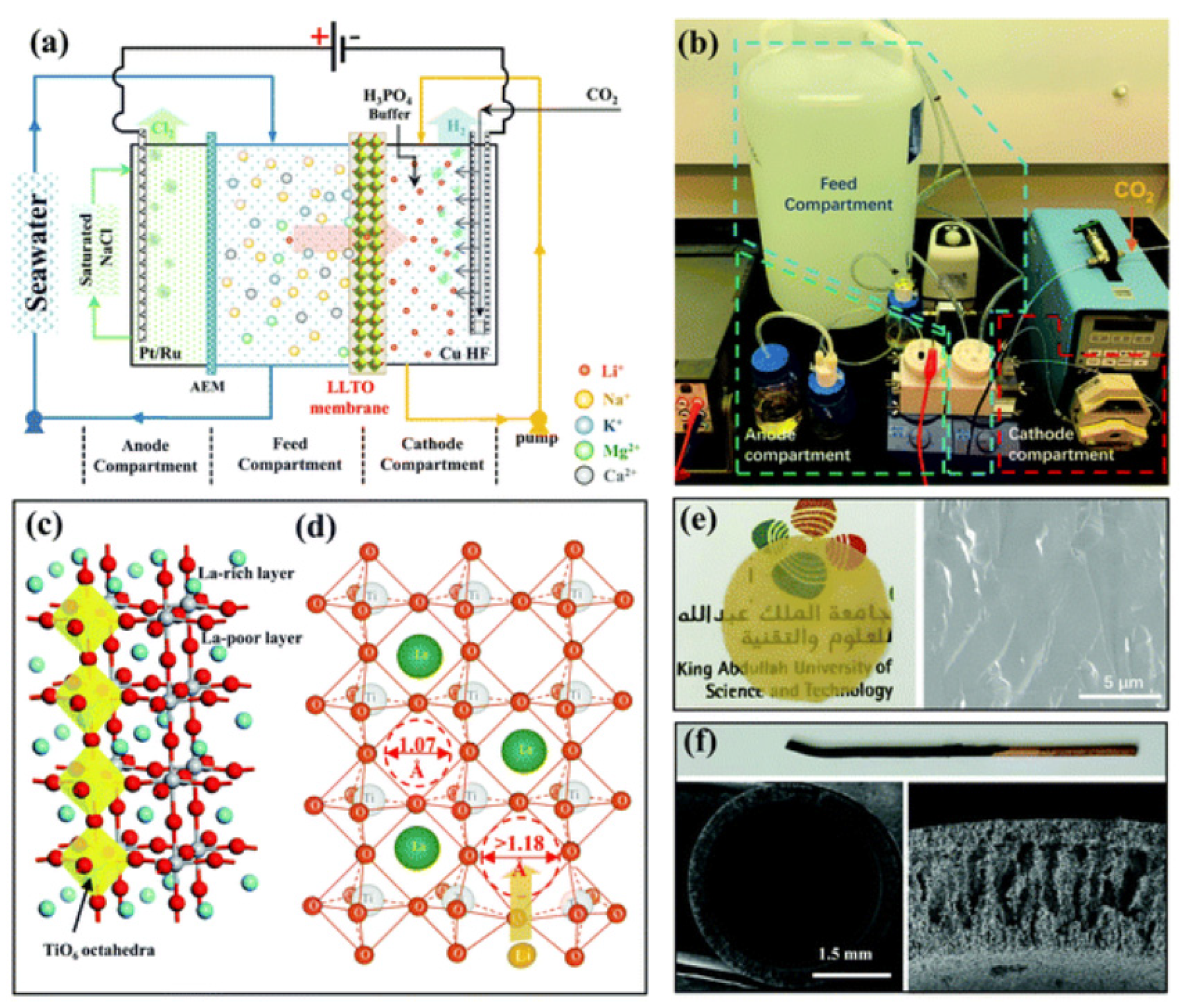 Preprints 113482 g005