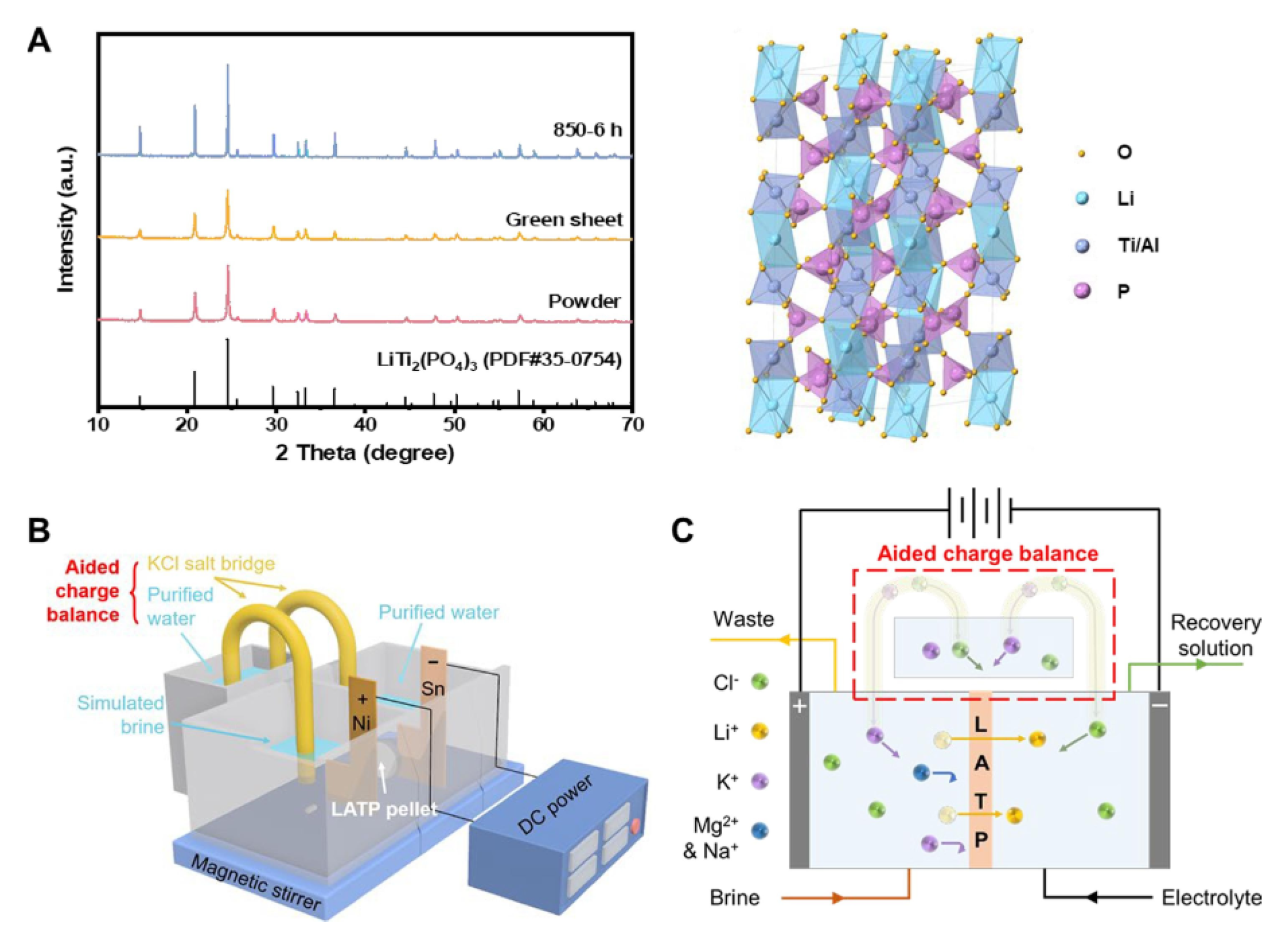 Preprints 113482 g009