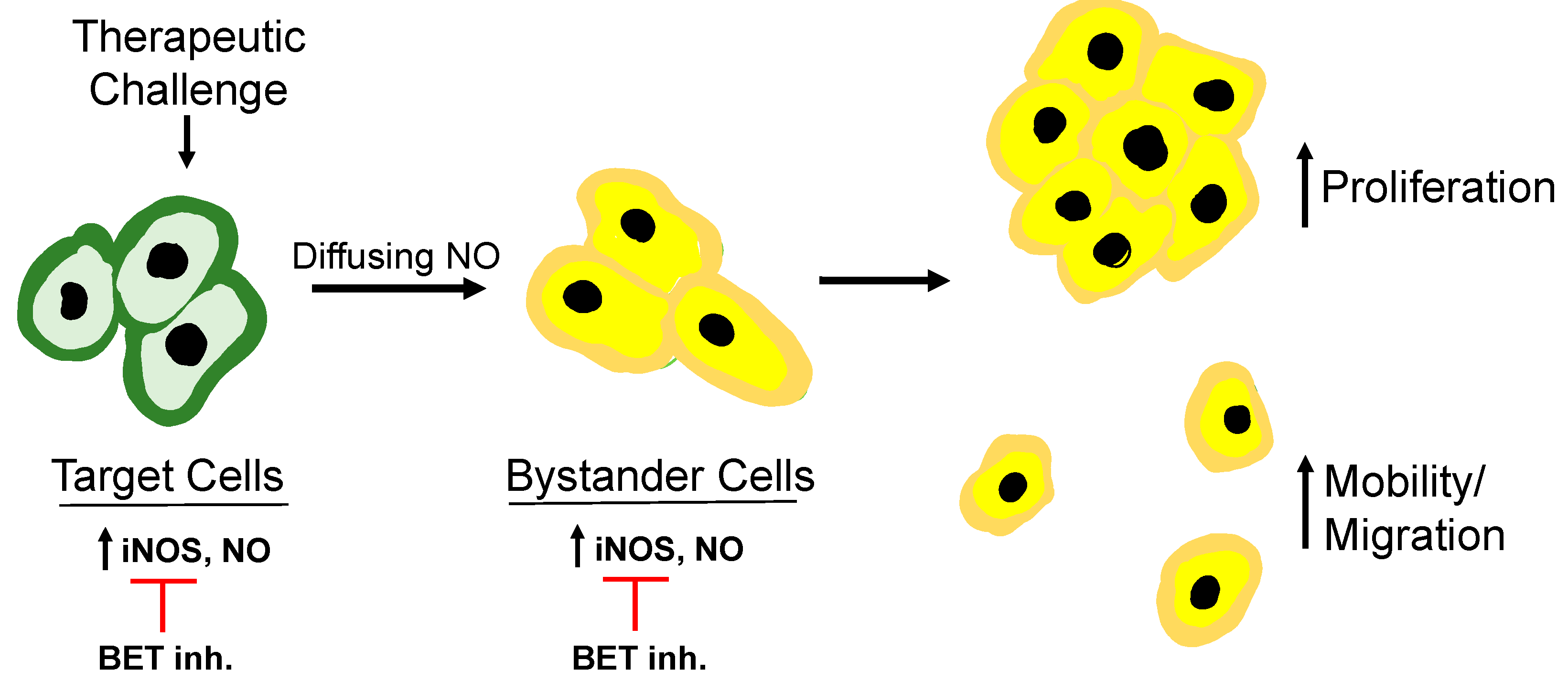 Preprints 71685 g005