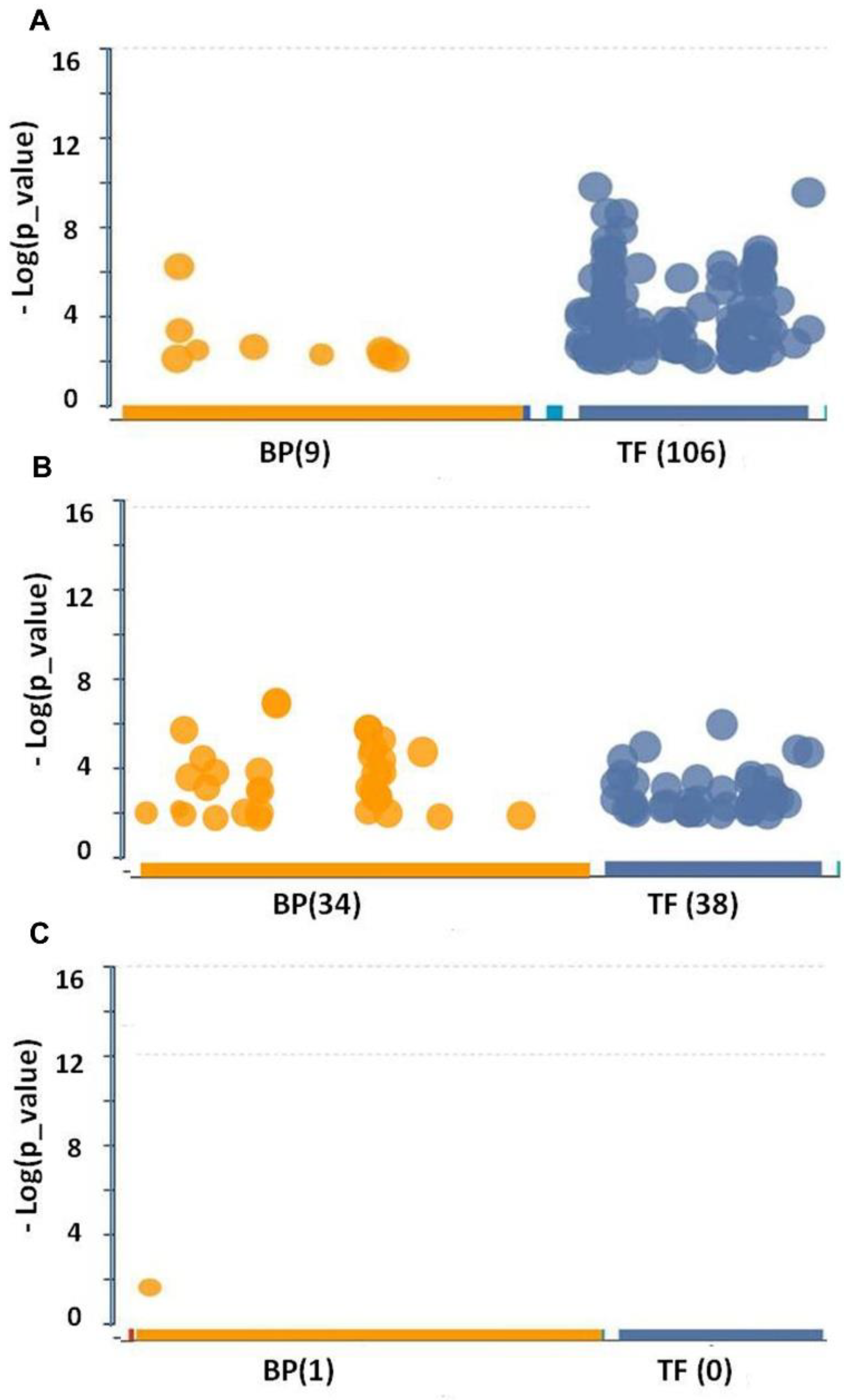 Preprints 107135 g001