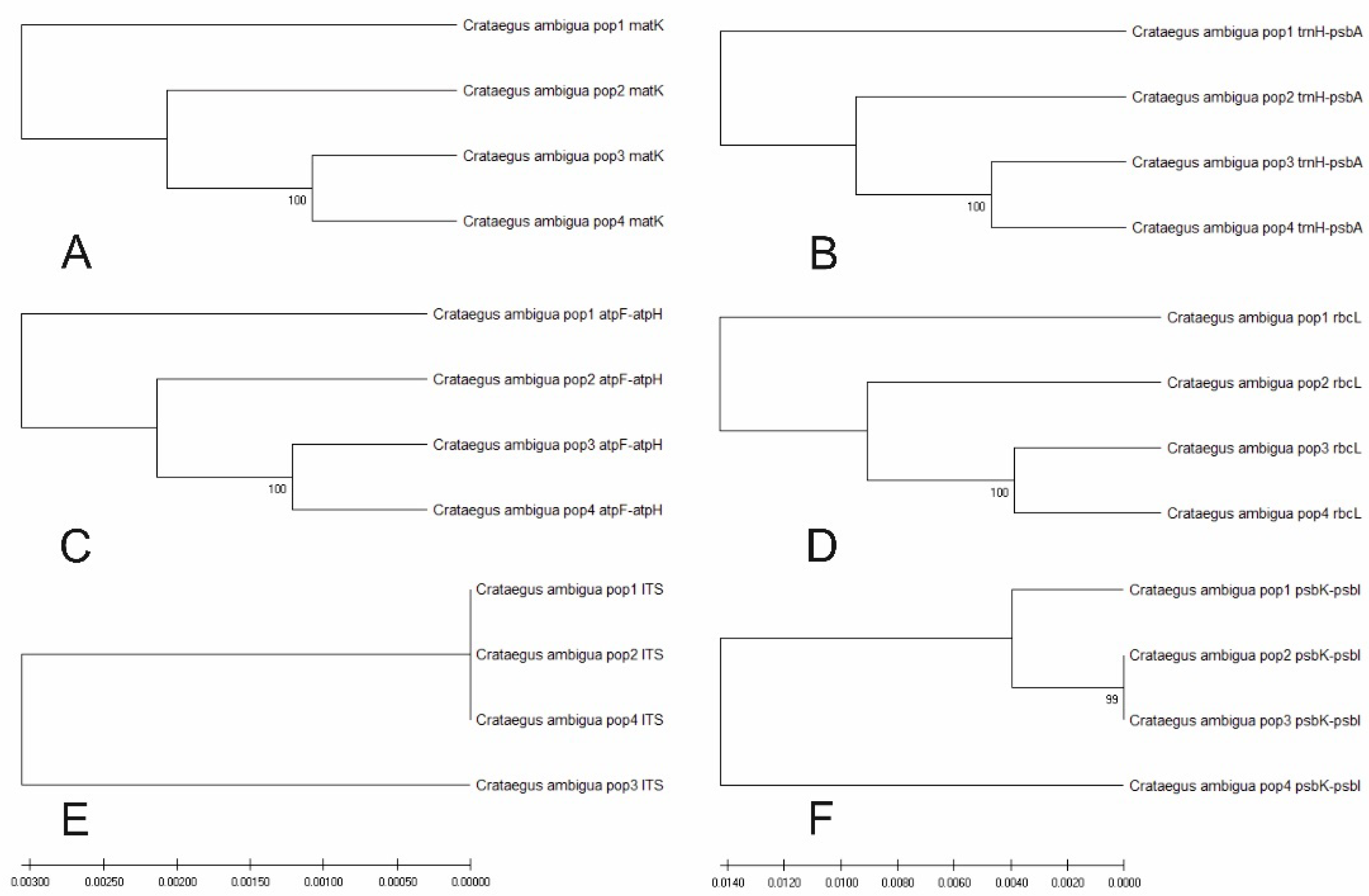 Preprints 104514 g010