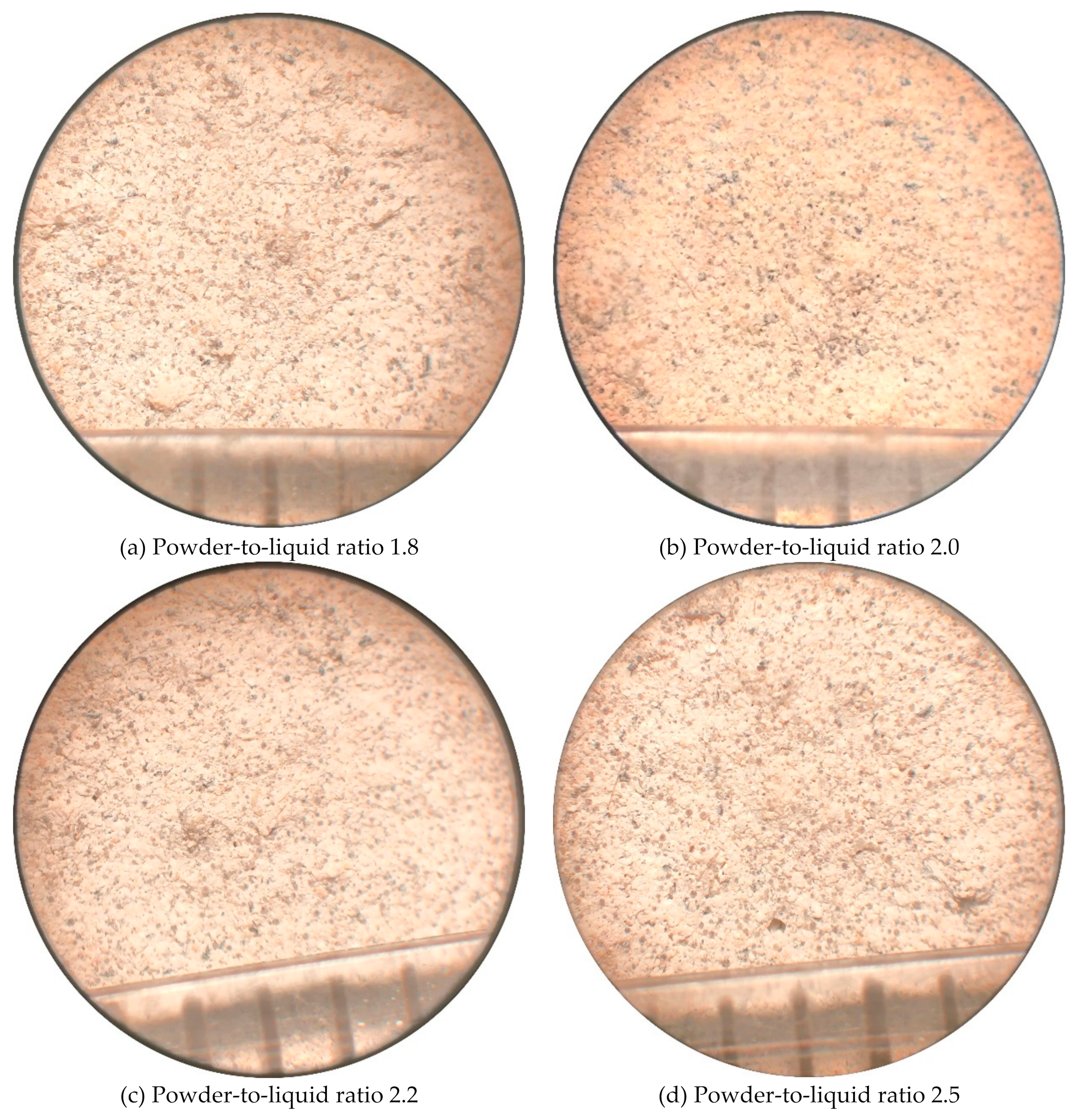 Preprints 113828 g010