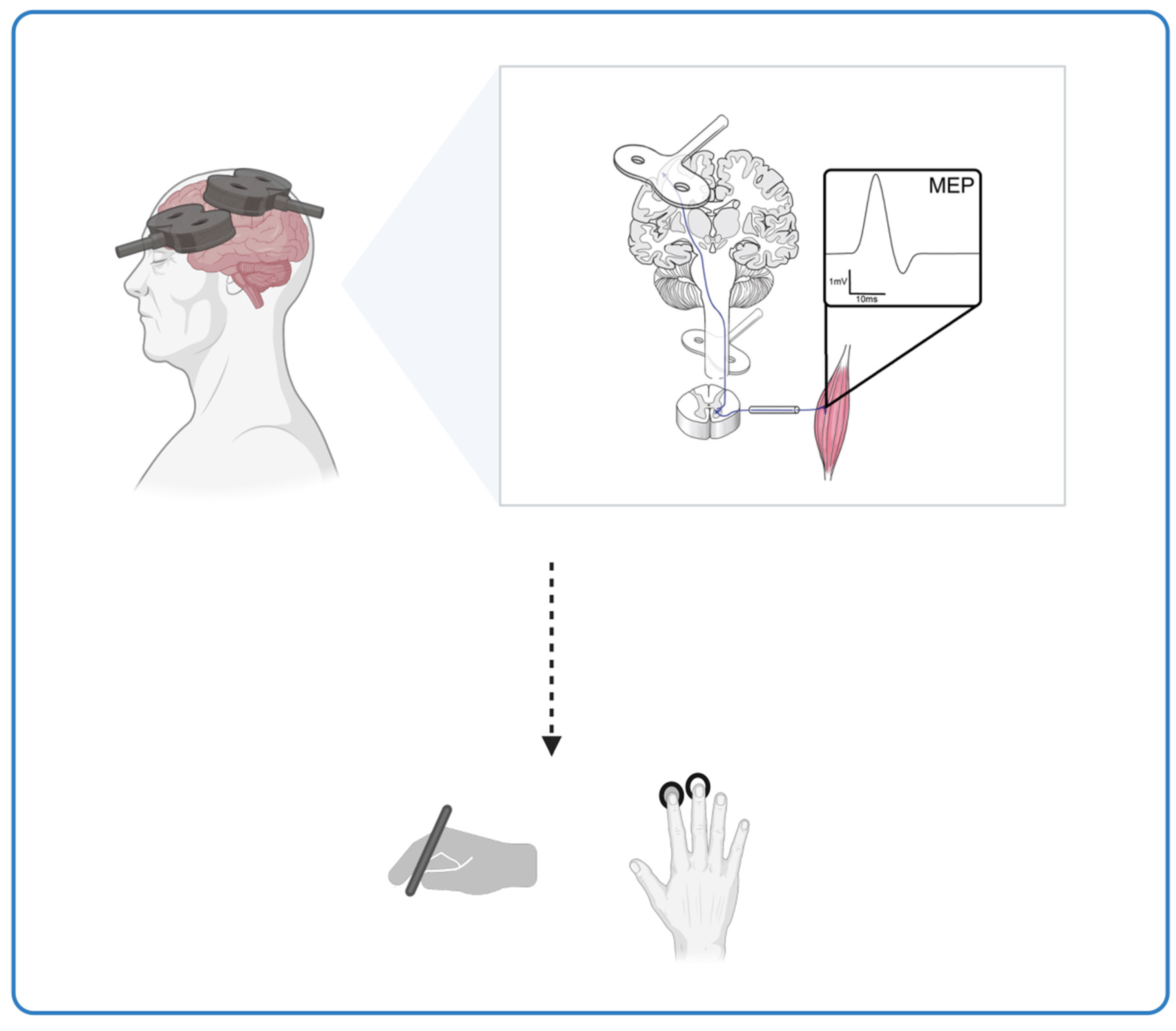 Preprints 108462 g002