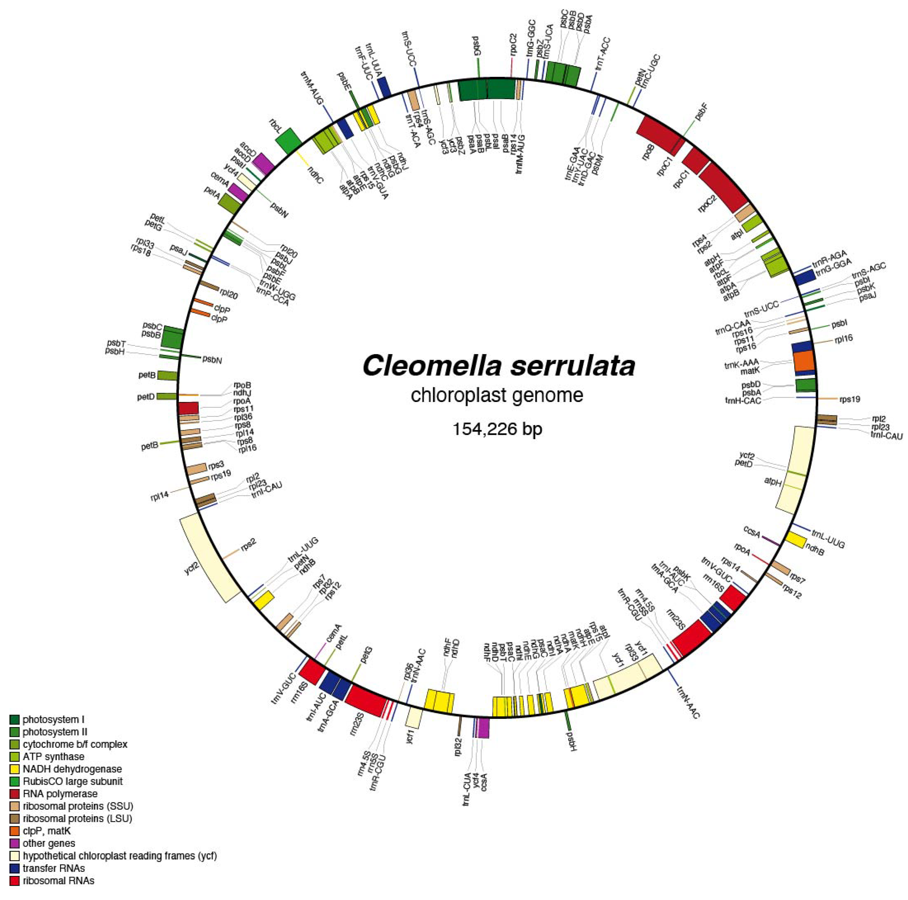 Preprints 113369 g002