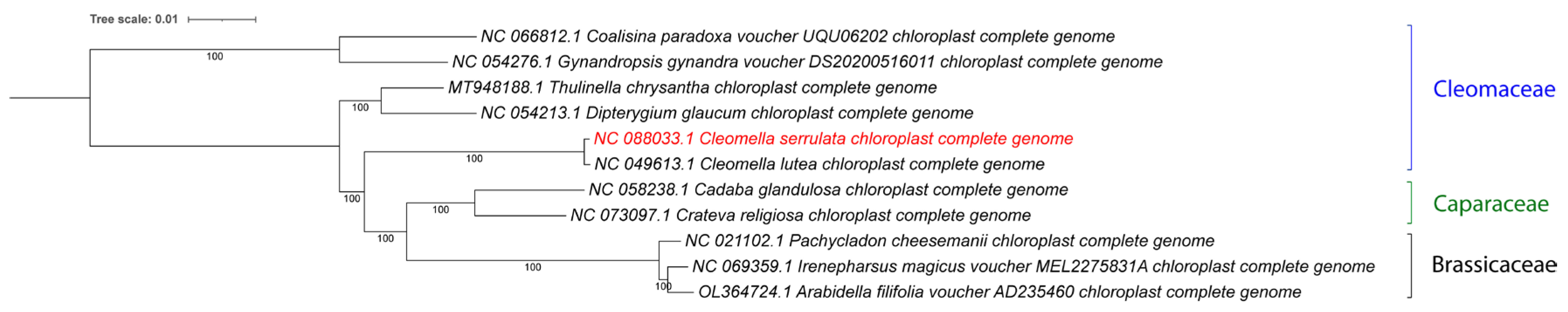 Preprints 113369 g003