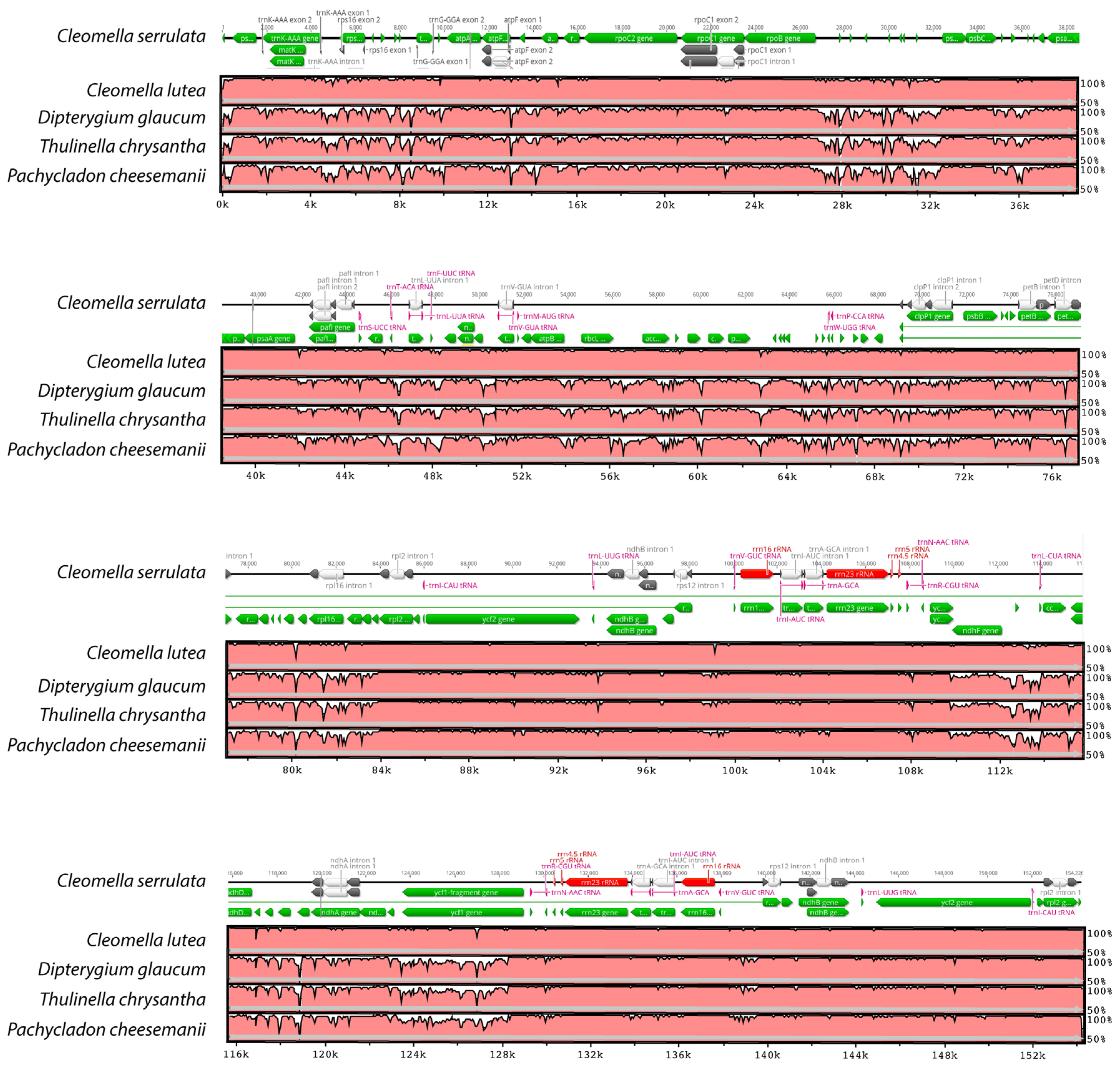 Preprints 113369 g004