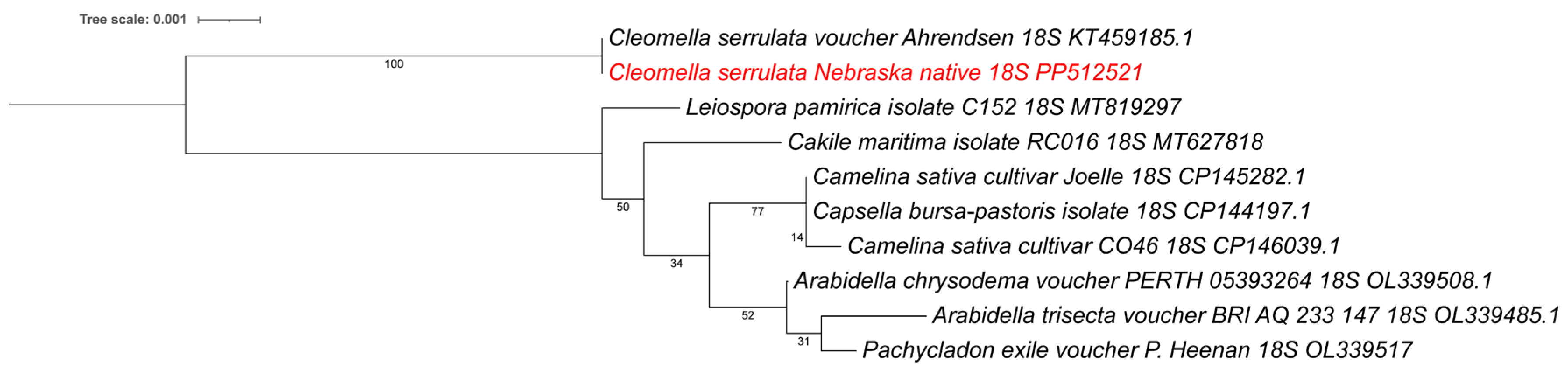 Preprints 113369 g005