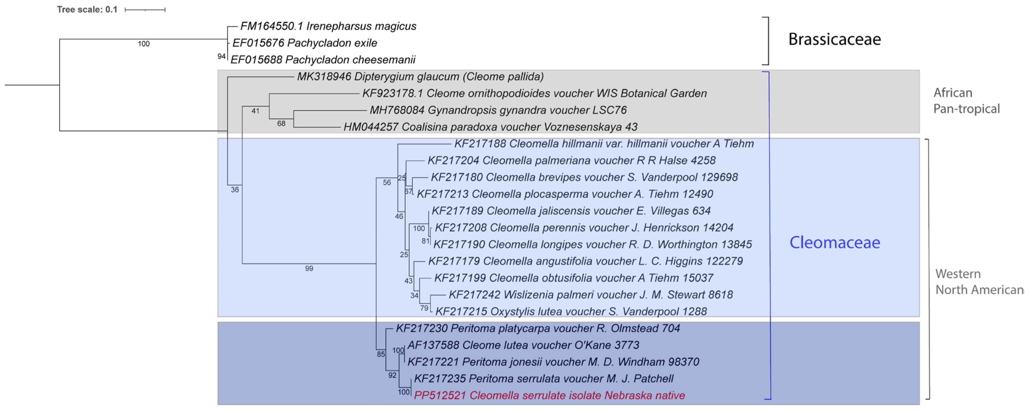 Preprints 113369 g006