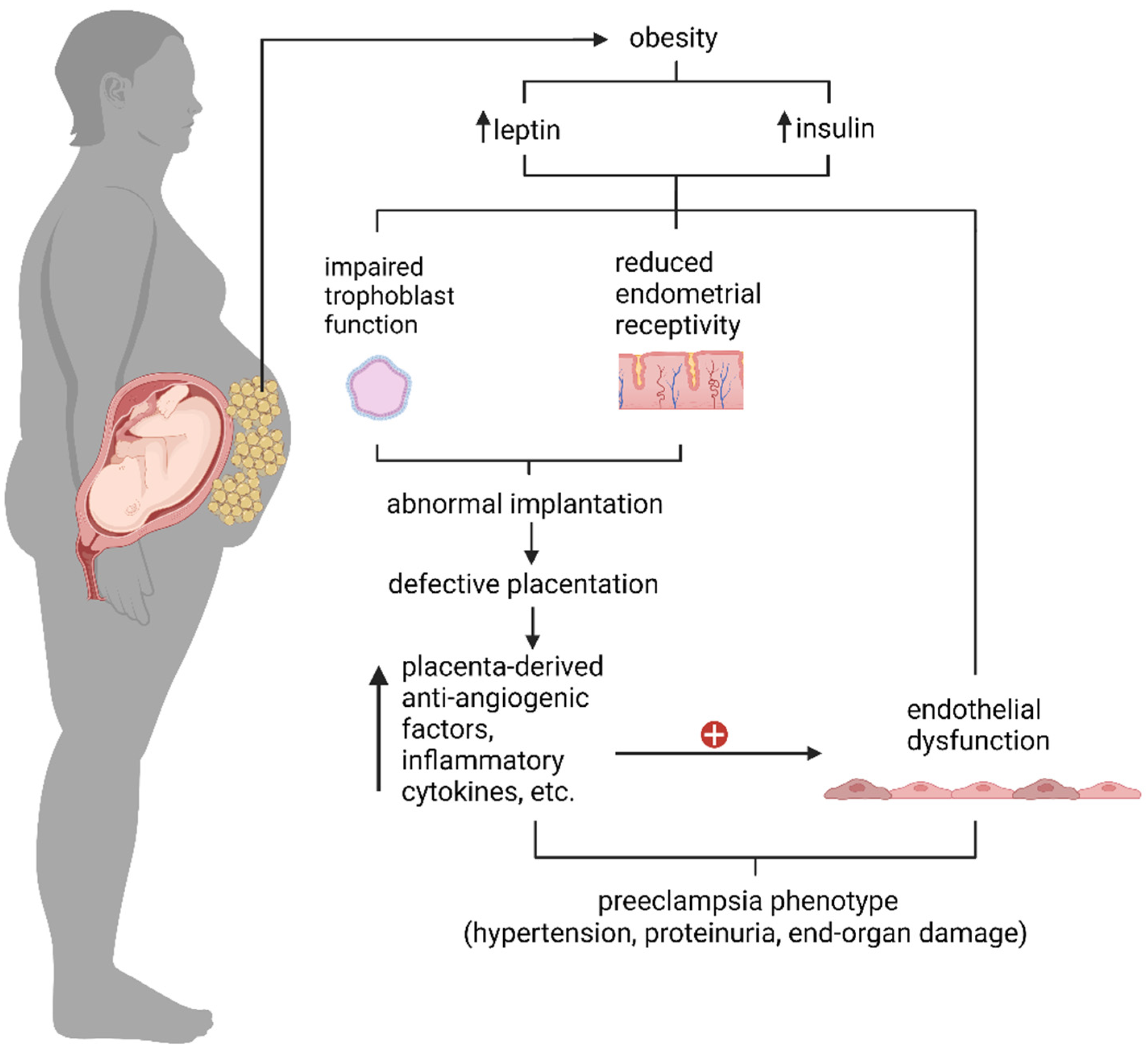 Preprints 112401 g002