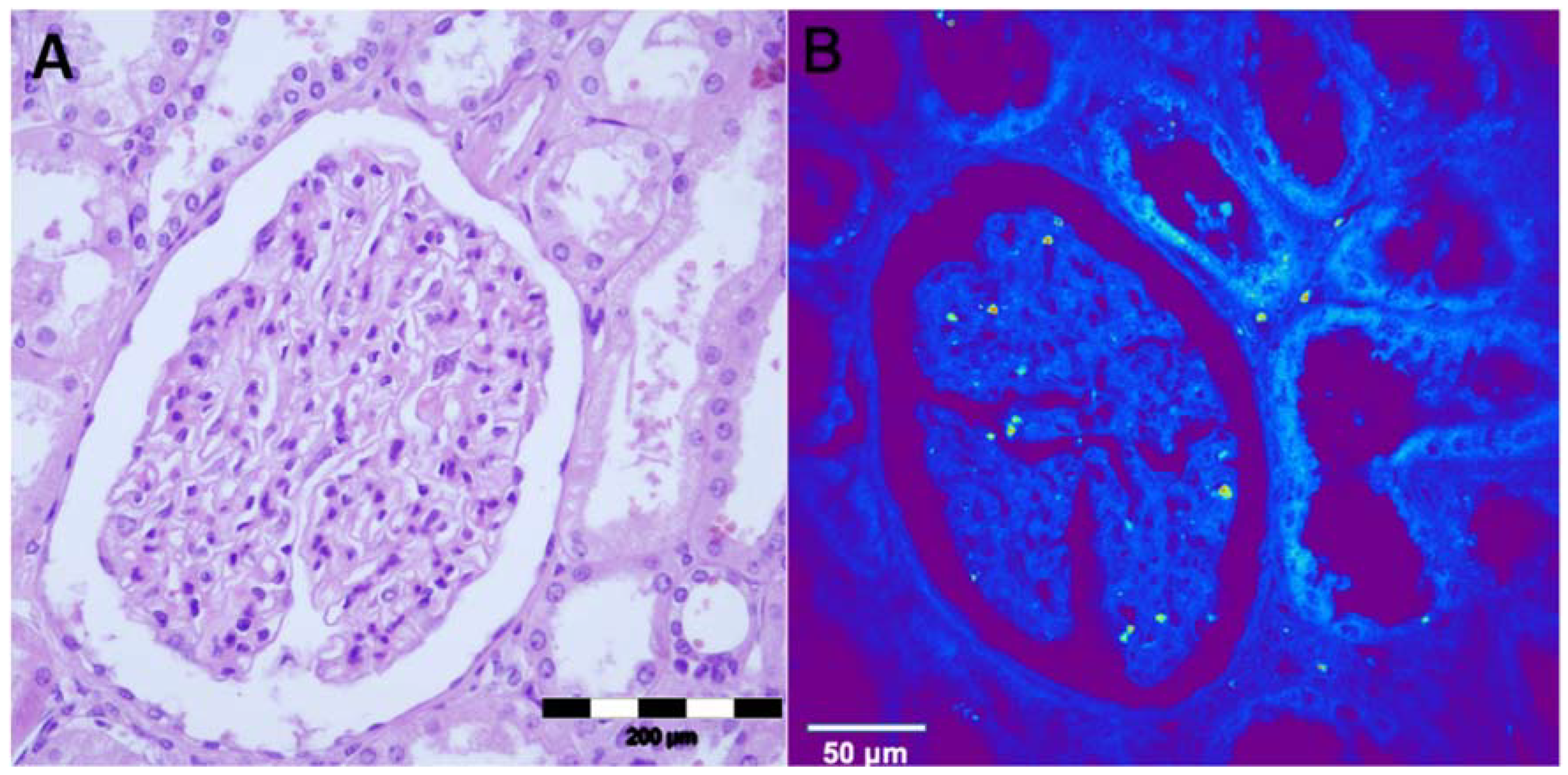 Preprints 88937 g001