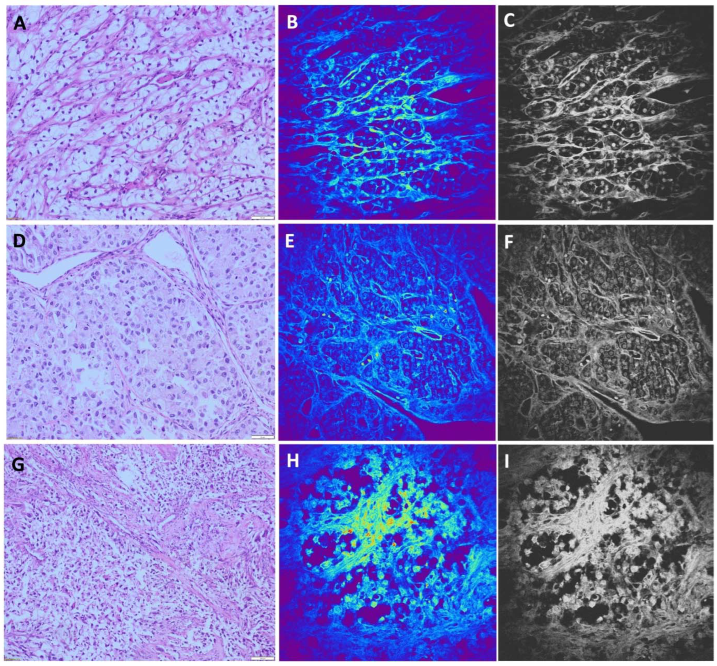 Preprints 88937 g002