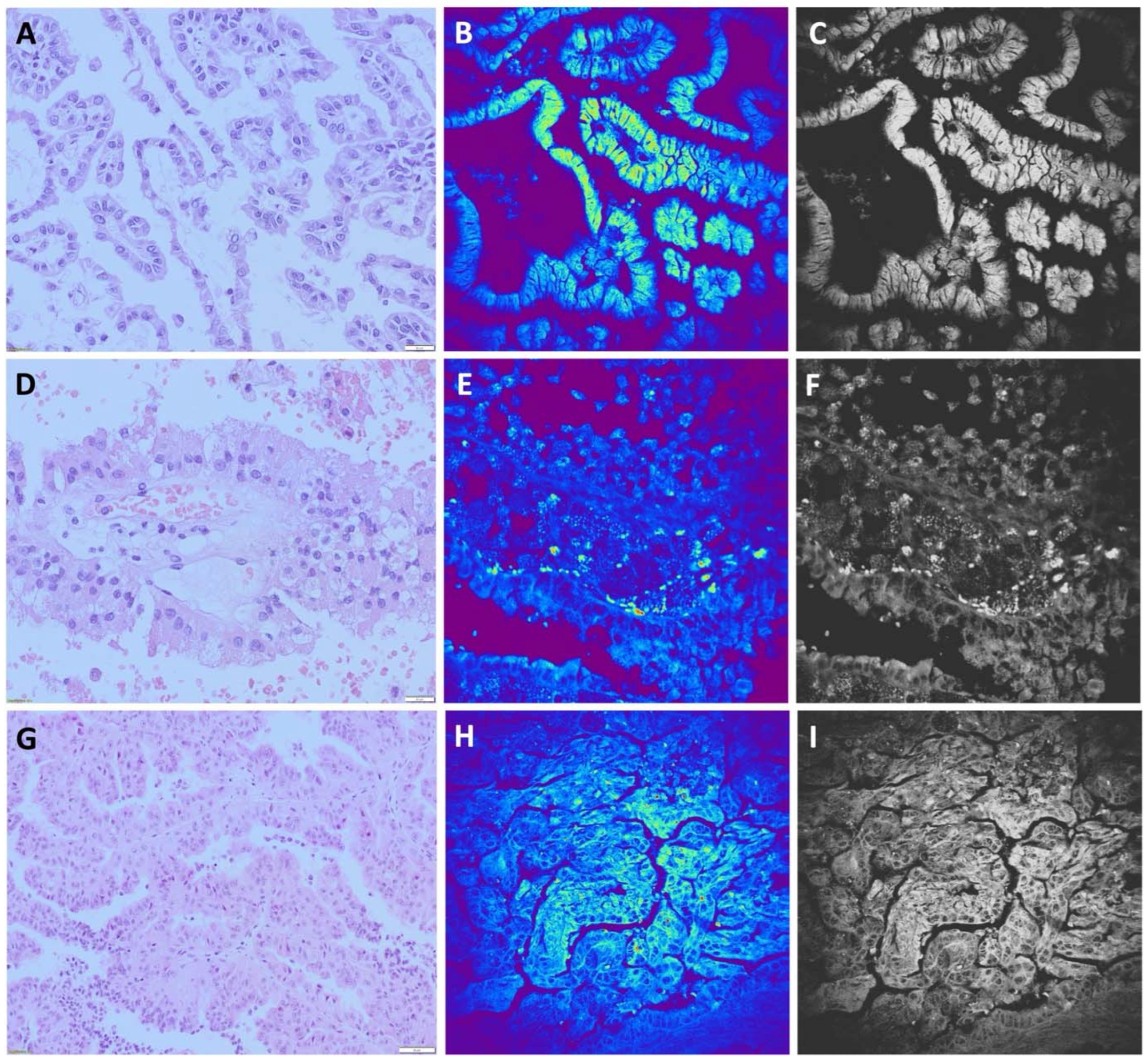 Preprints 88937 g003