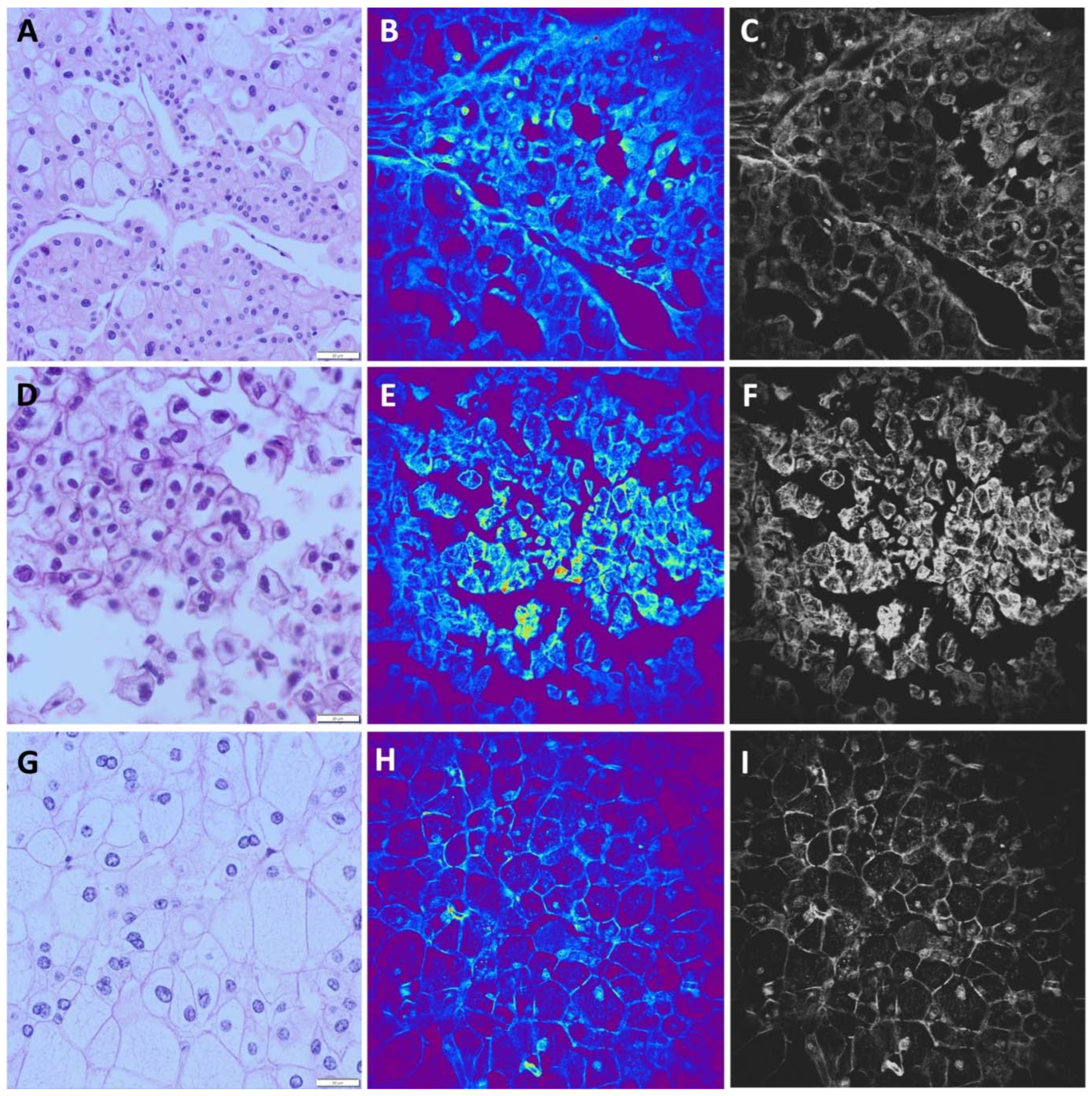 Preprints 88937 g004