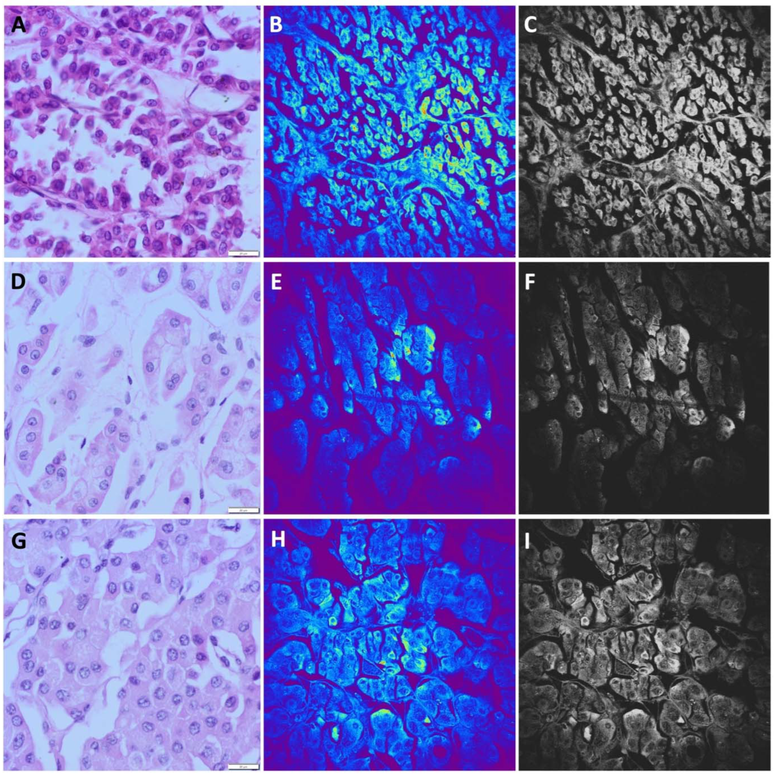 Preprints 88937 g005